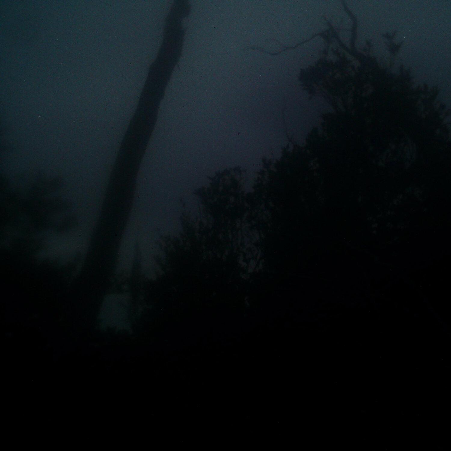 A photo captured from the webcam at the time the audio was recorded