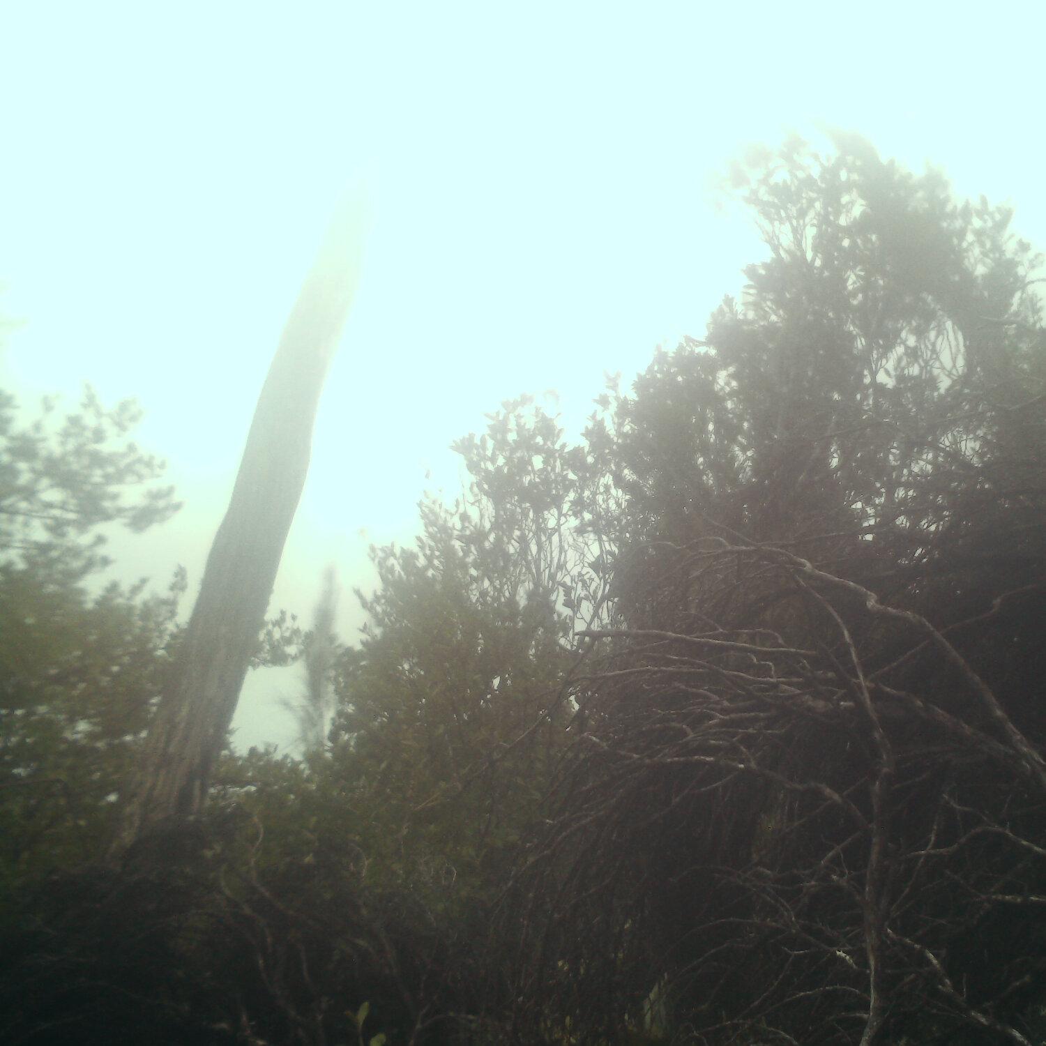 A photo captured from the webcam at the time the audio was recorded