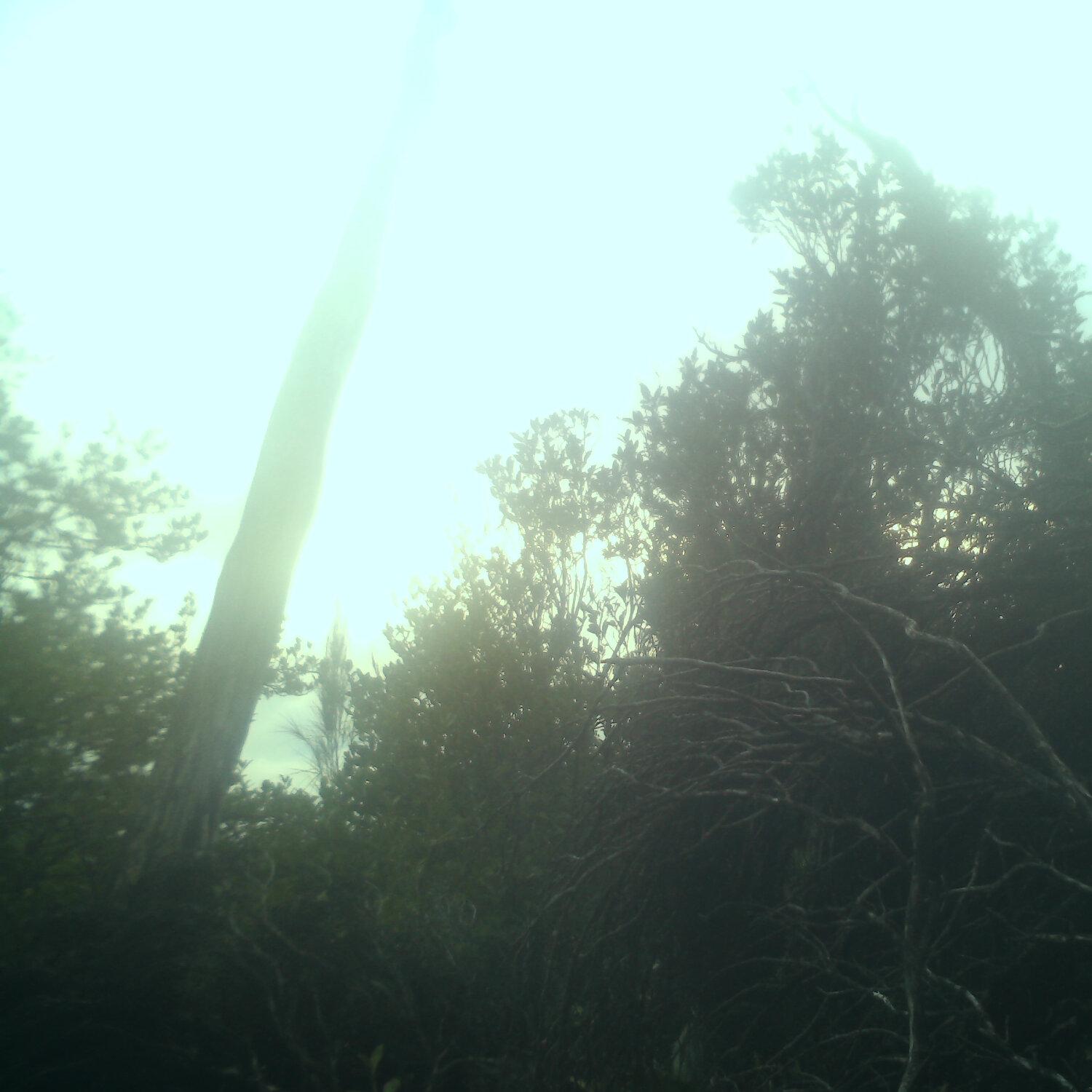 A photo captured from the webcam at the time the audio was recorded
