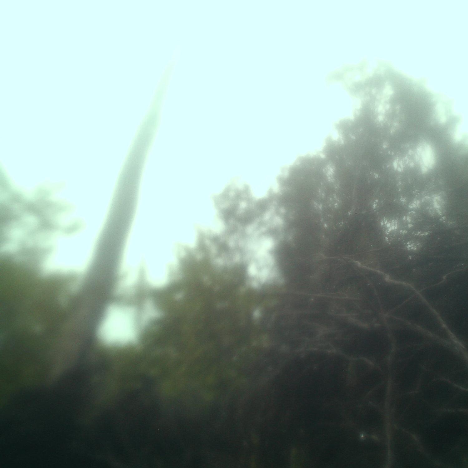 A photo captured from the webcam at the time the audio was recorded