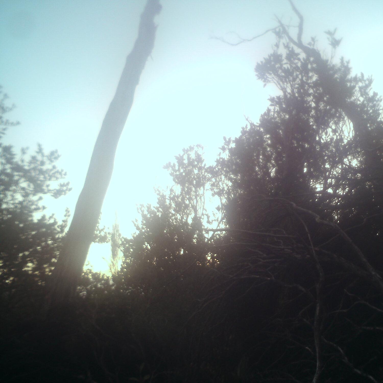 A photo captured from the webcam at the time the audio was recorded