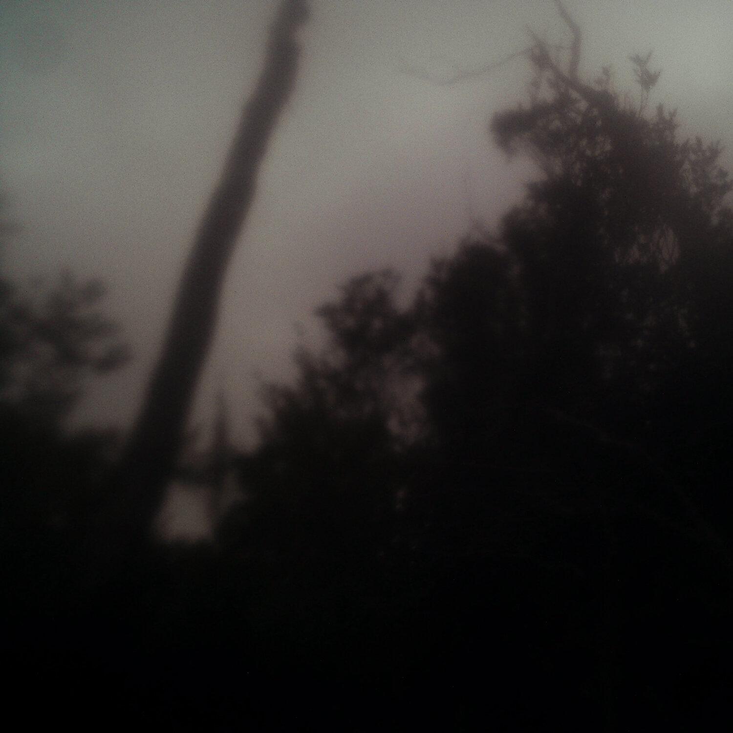 A photo captured from the webcam at the time the audio was recorded