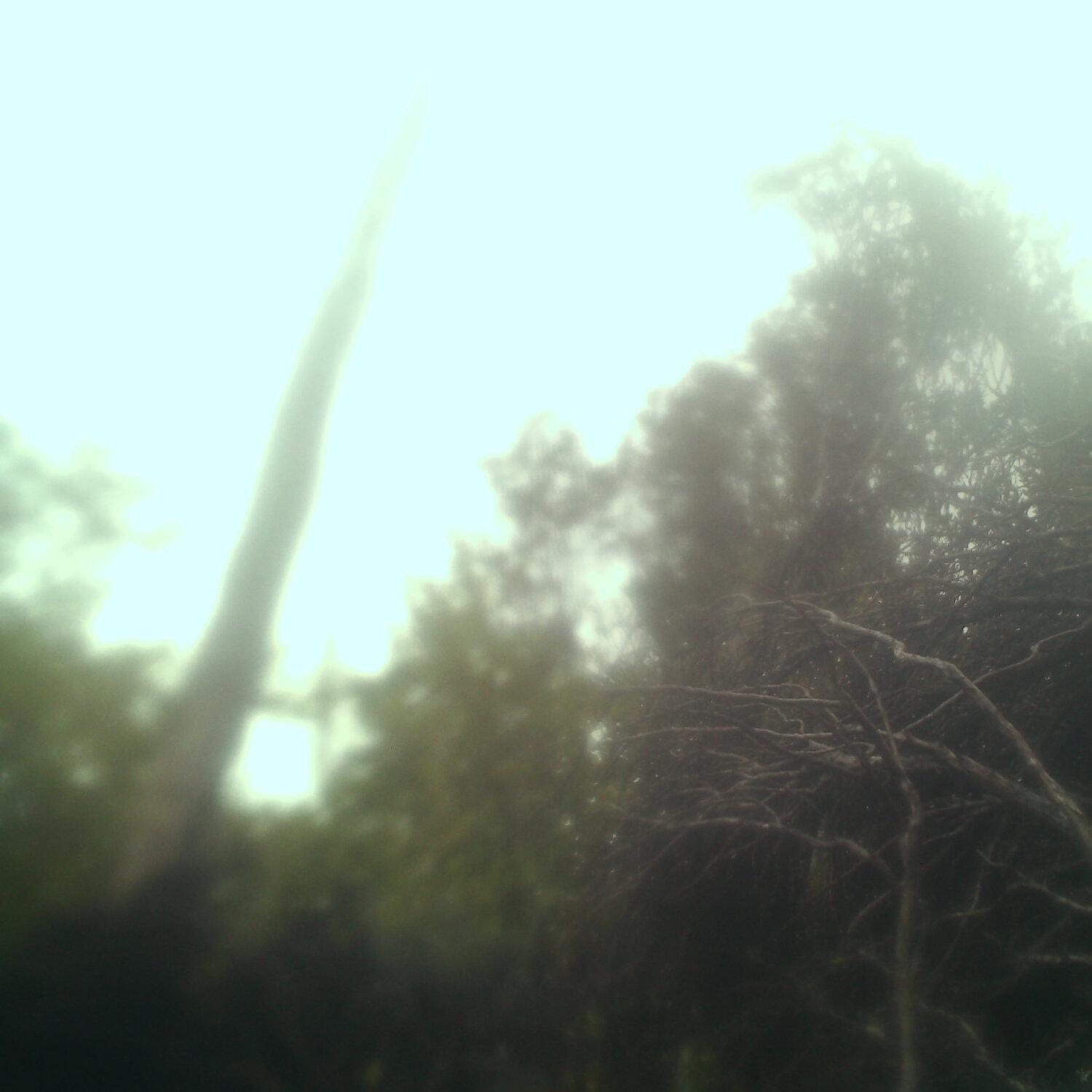 A photo captured from the webcam at the time the audio was recorded