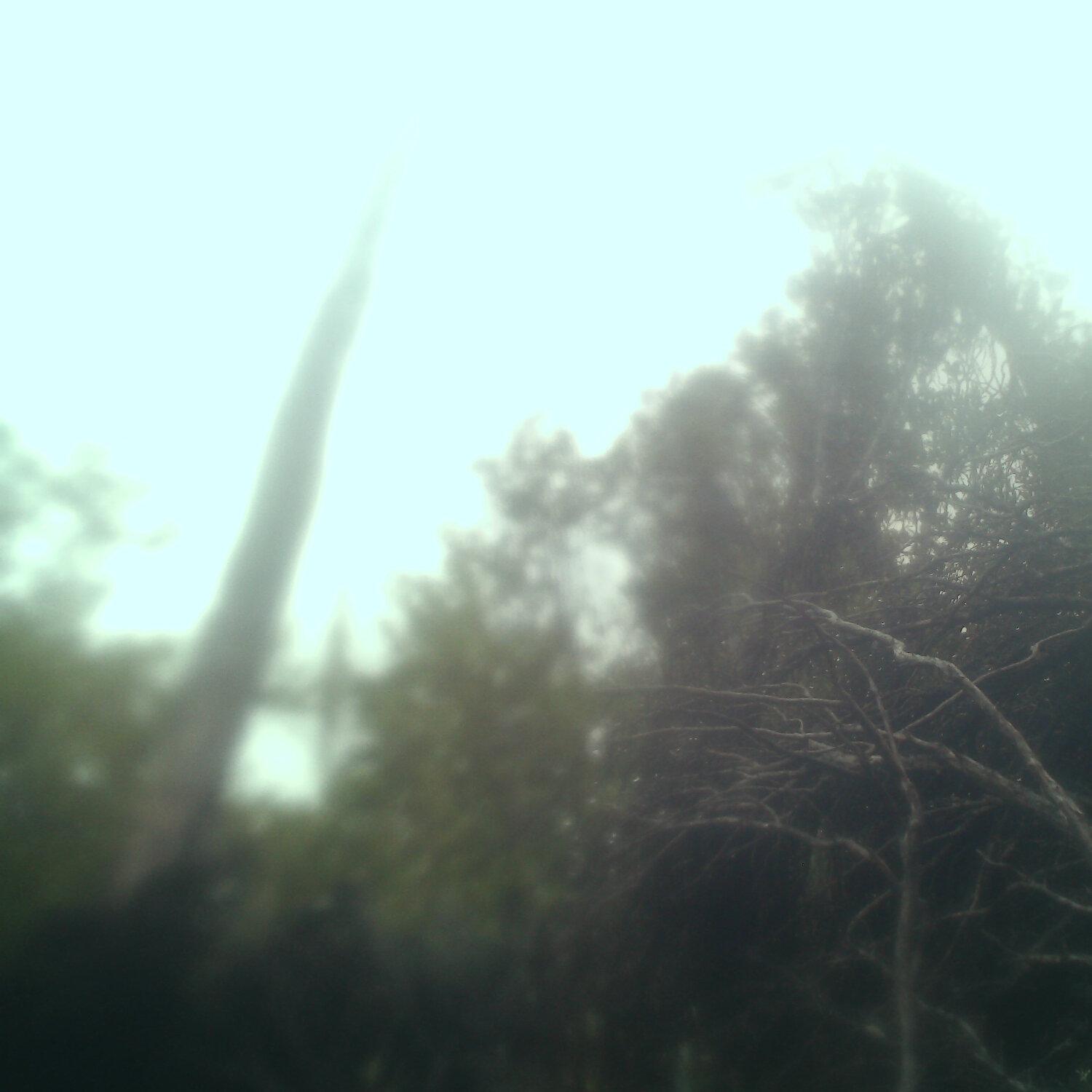 A photo captured from the webcam at the time the audio was recorded