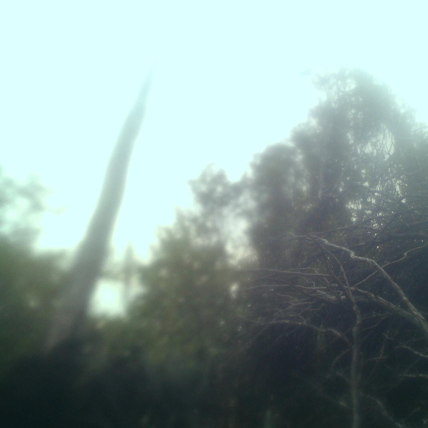 A photo captured from the webcam at the time the audio was recorded