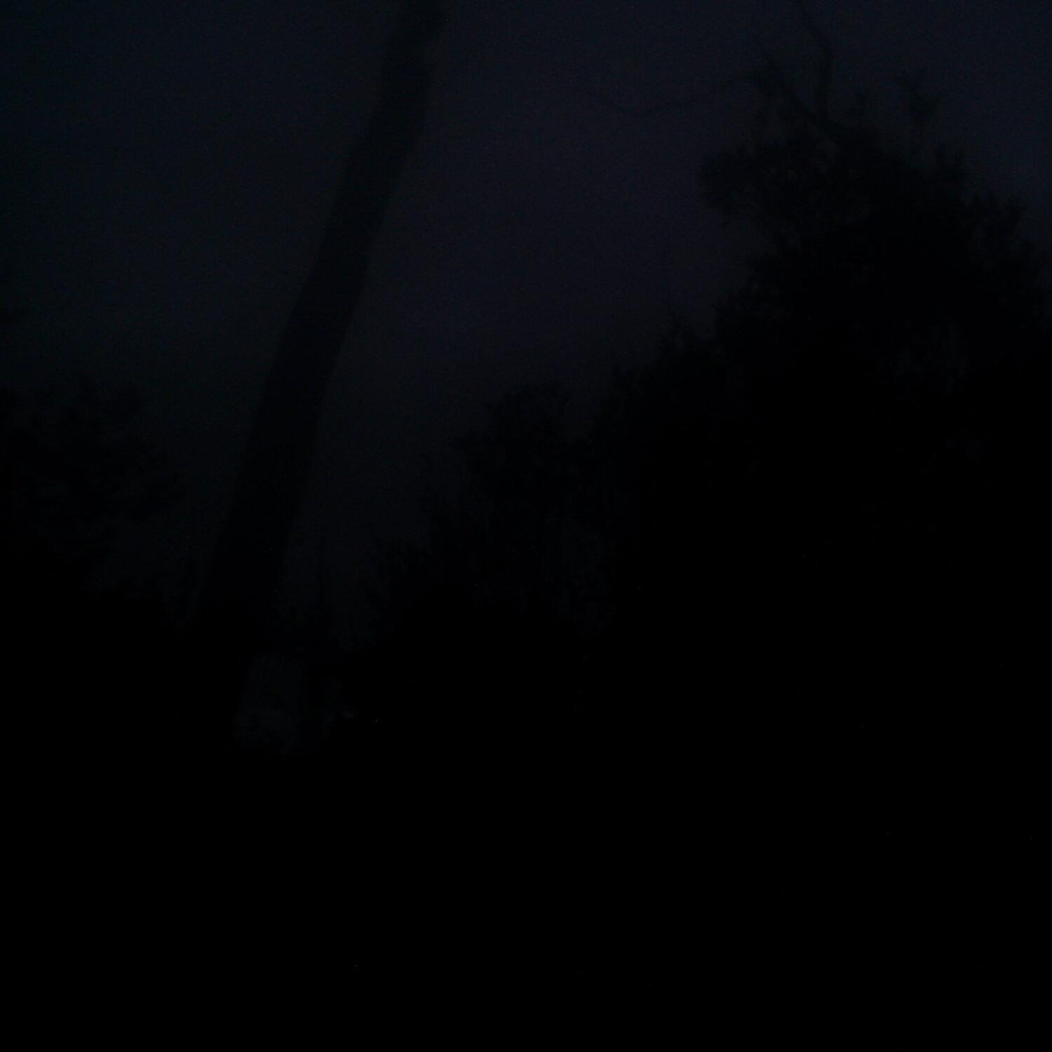 A photo captured from the webcam at the time the audio was recorded