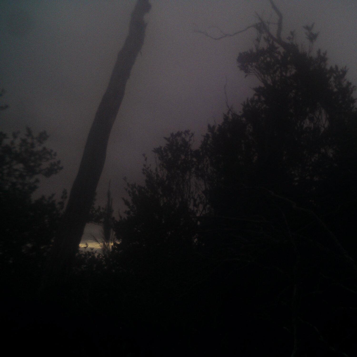 A photo captured from the webcam at the time the audio was recorded