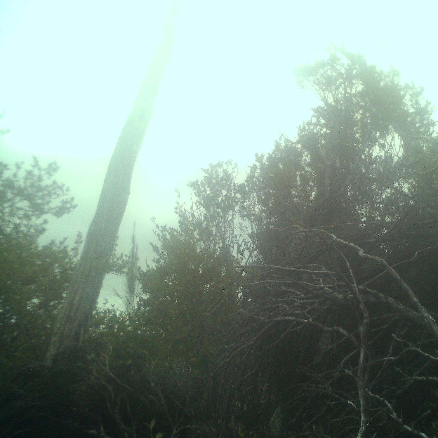 A photo captured from the webcam at the time the audio was recorded