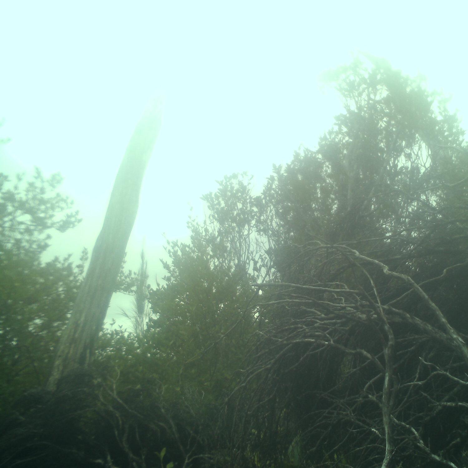 A photo captured from the webcam at the time the audio was recorded