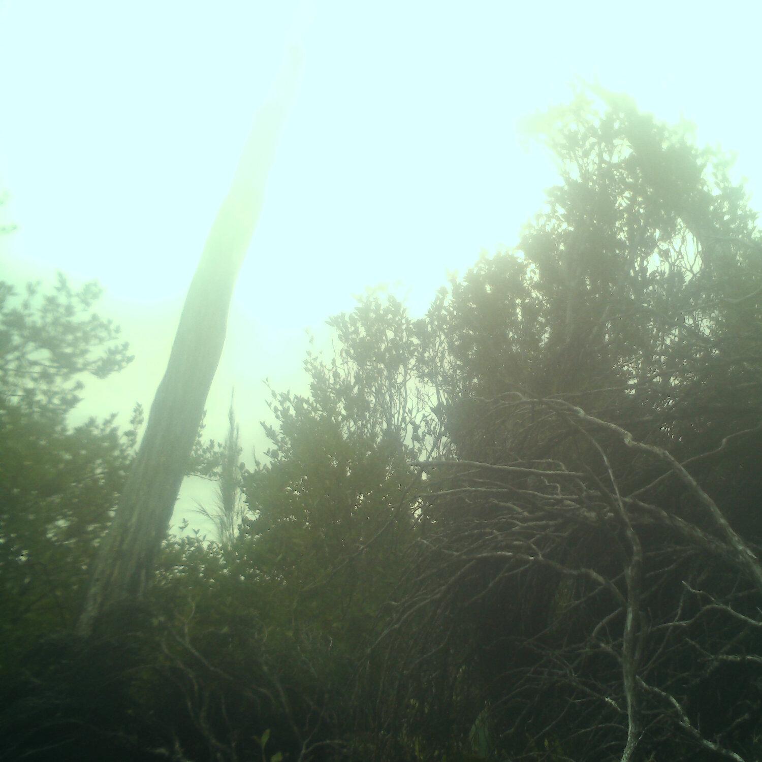 A photo captured from the webcam at the time the audio was recorded