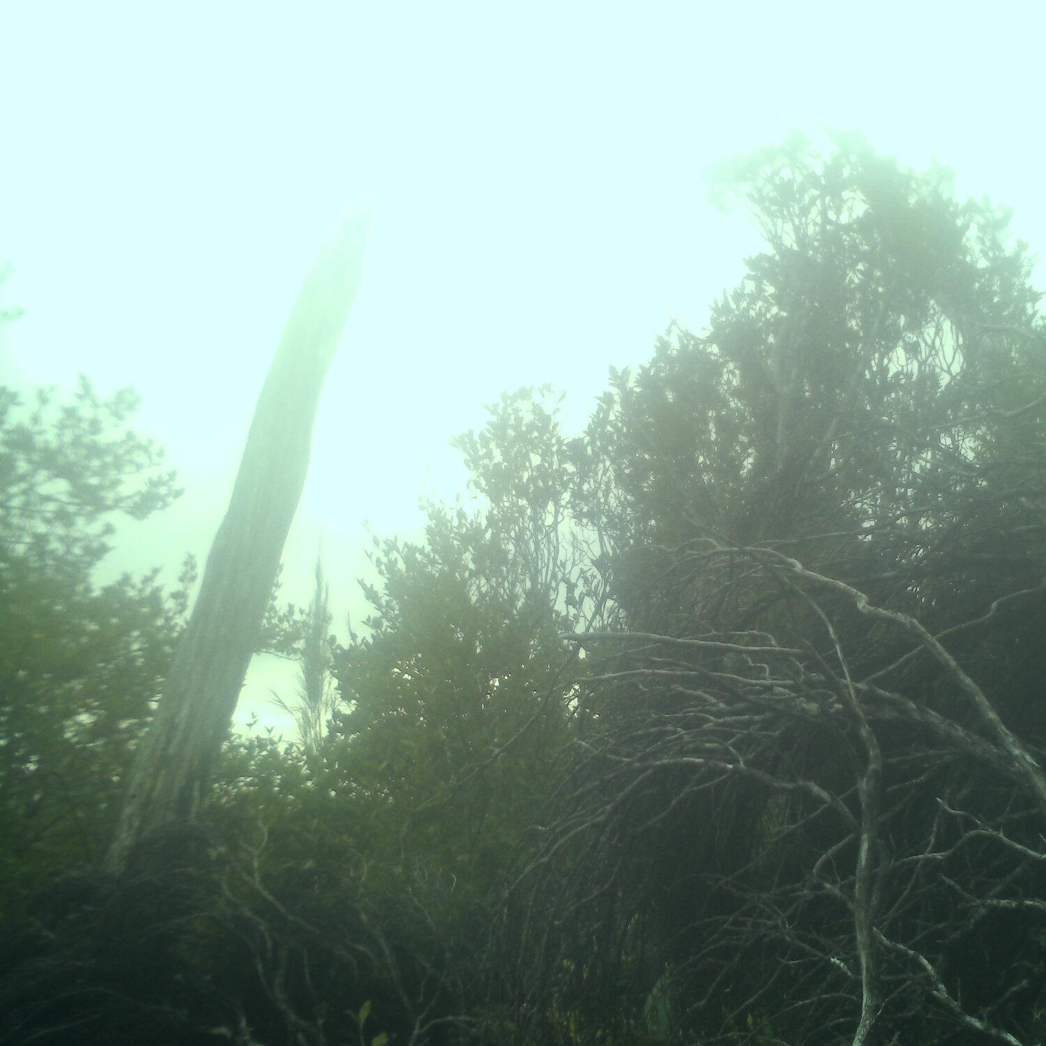 A photo captured from the webcam at the time the audio was recorded