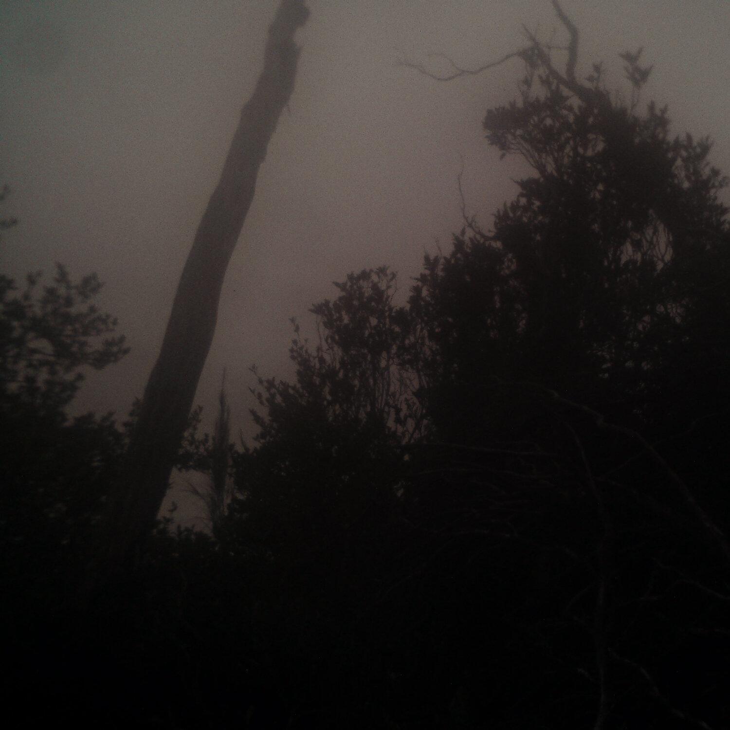 A photo captured from the webcam at the time the audio was recorded