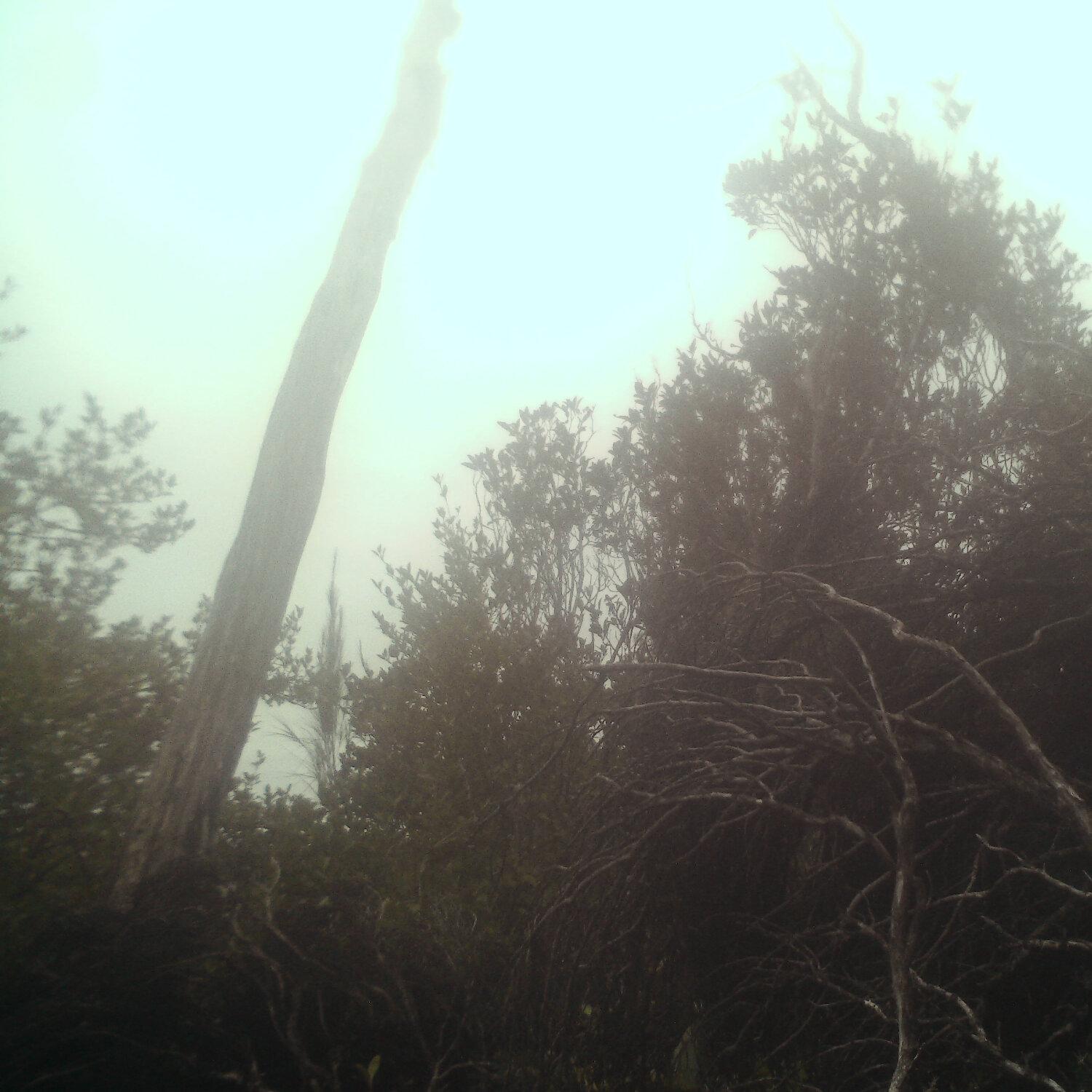 A photo captured from the webcam at the time the audio was recorded