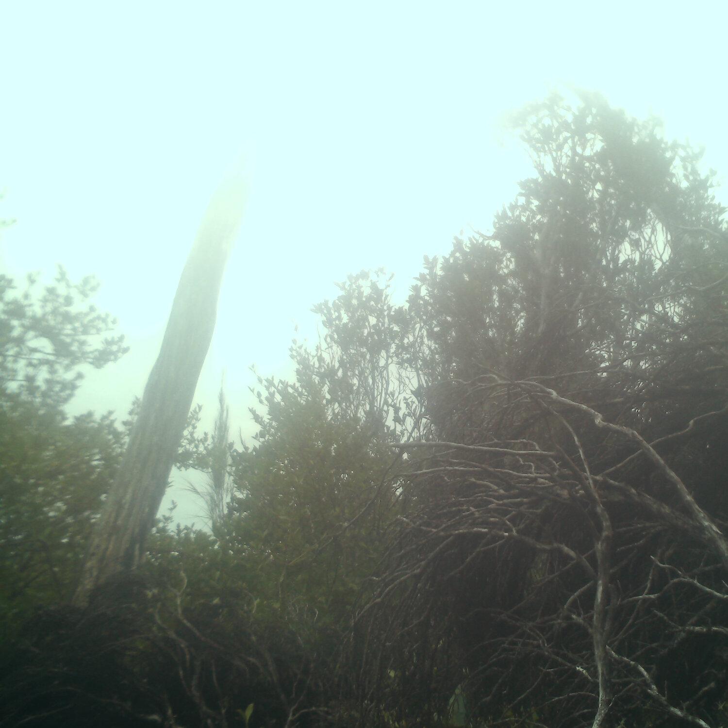 A photo captured from the webcam at the time the audio was recorded