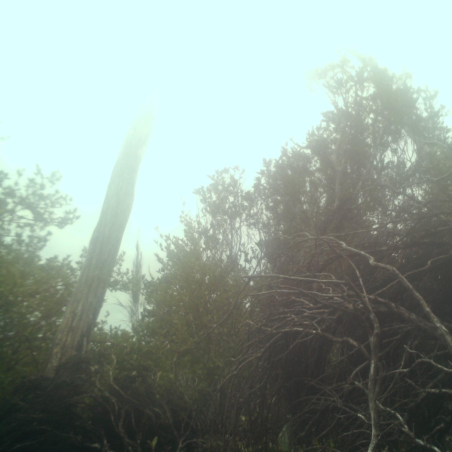 A photo captured from the webcam at the time the audio was recorded