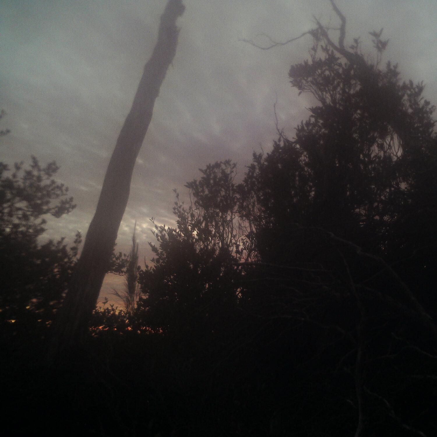 A photo captured from the webcam at the time the audio was recorded