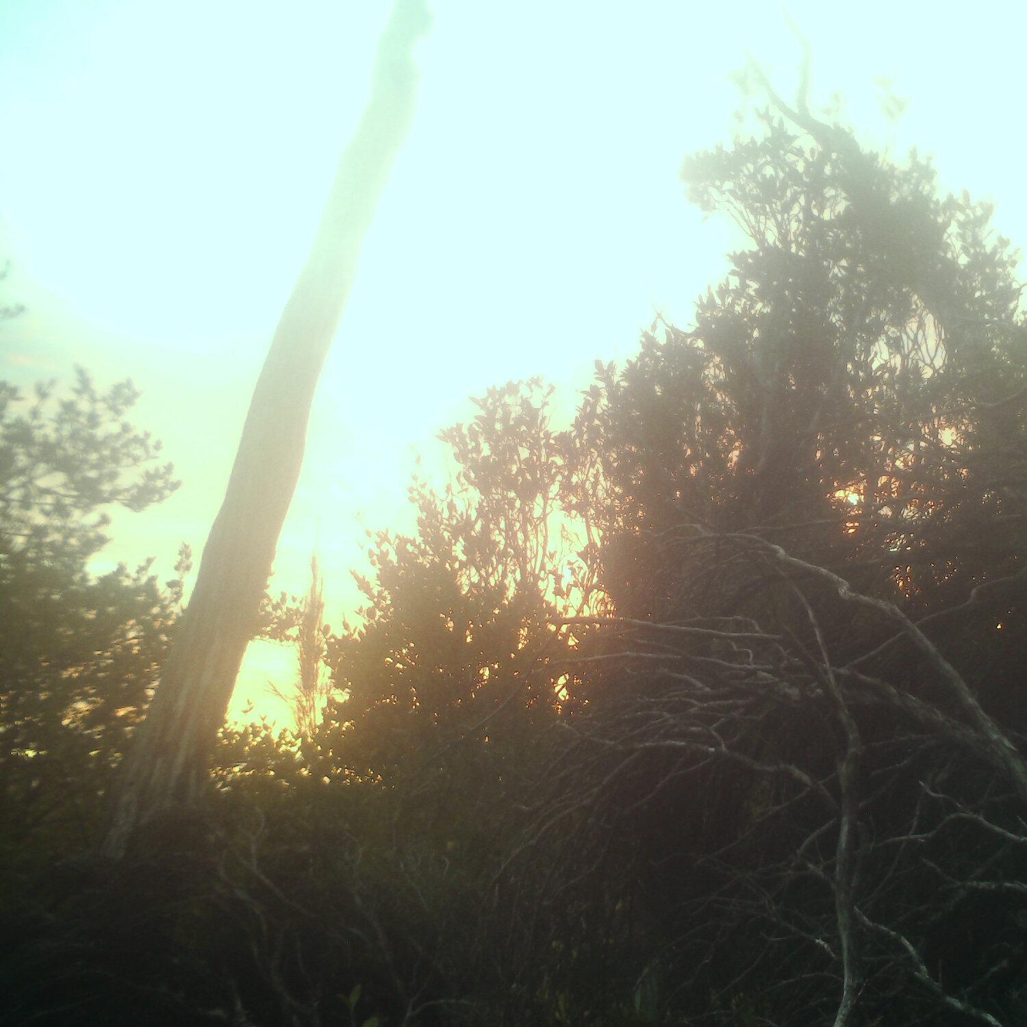 A photo captured from the webcam at the time the audio was recorded