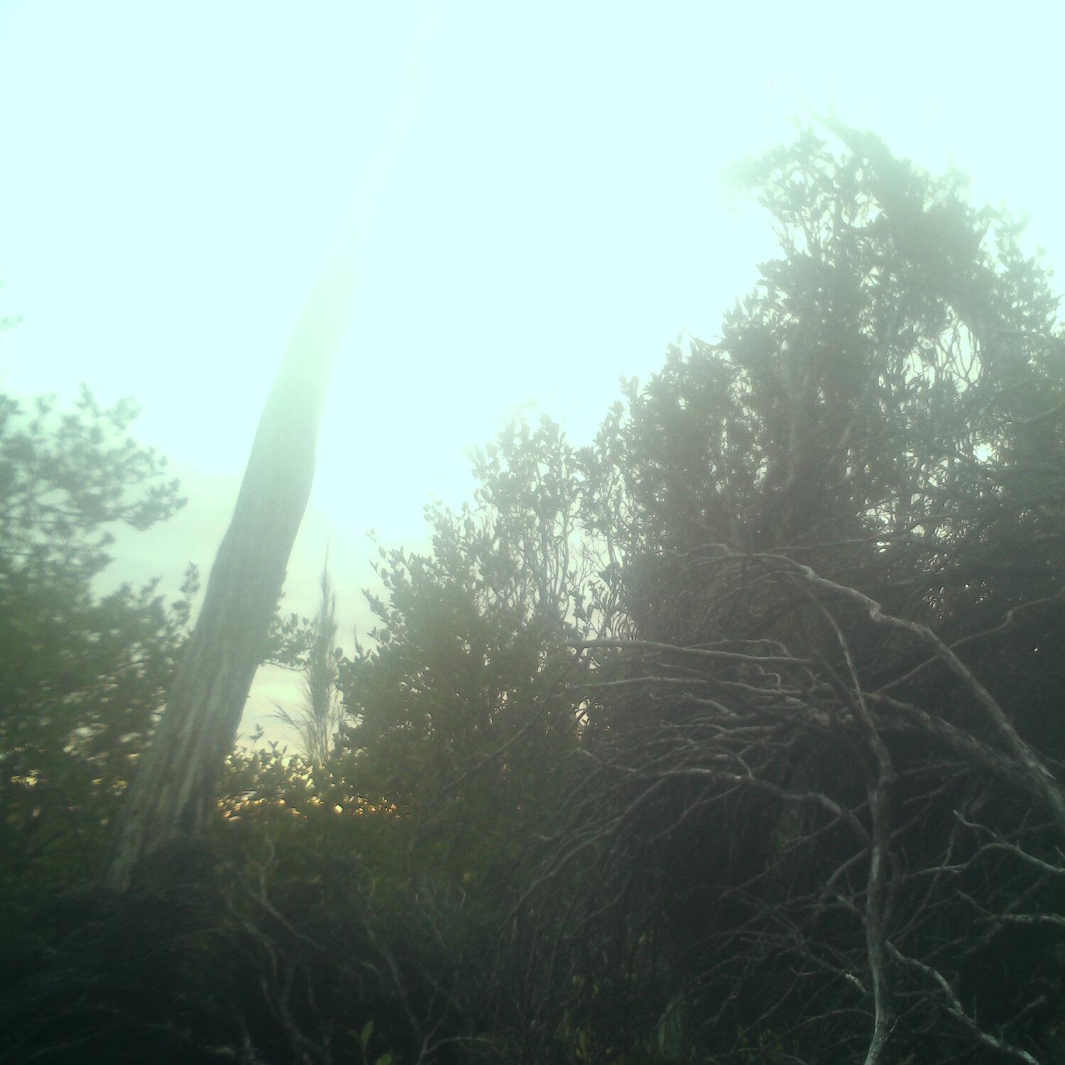 A photo captured from the webcam at the time the audio was recorded
