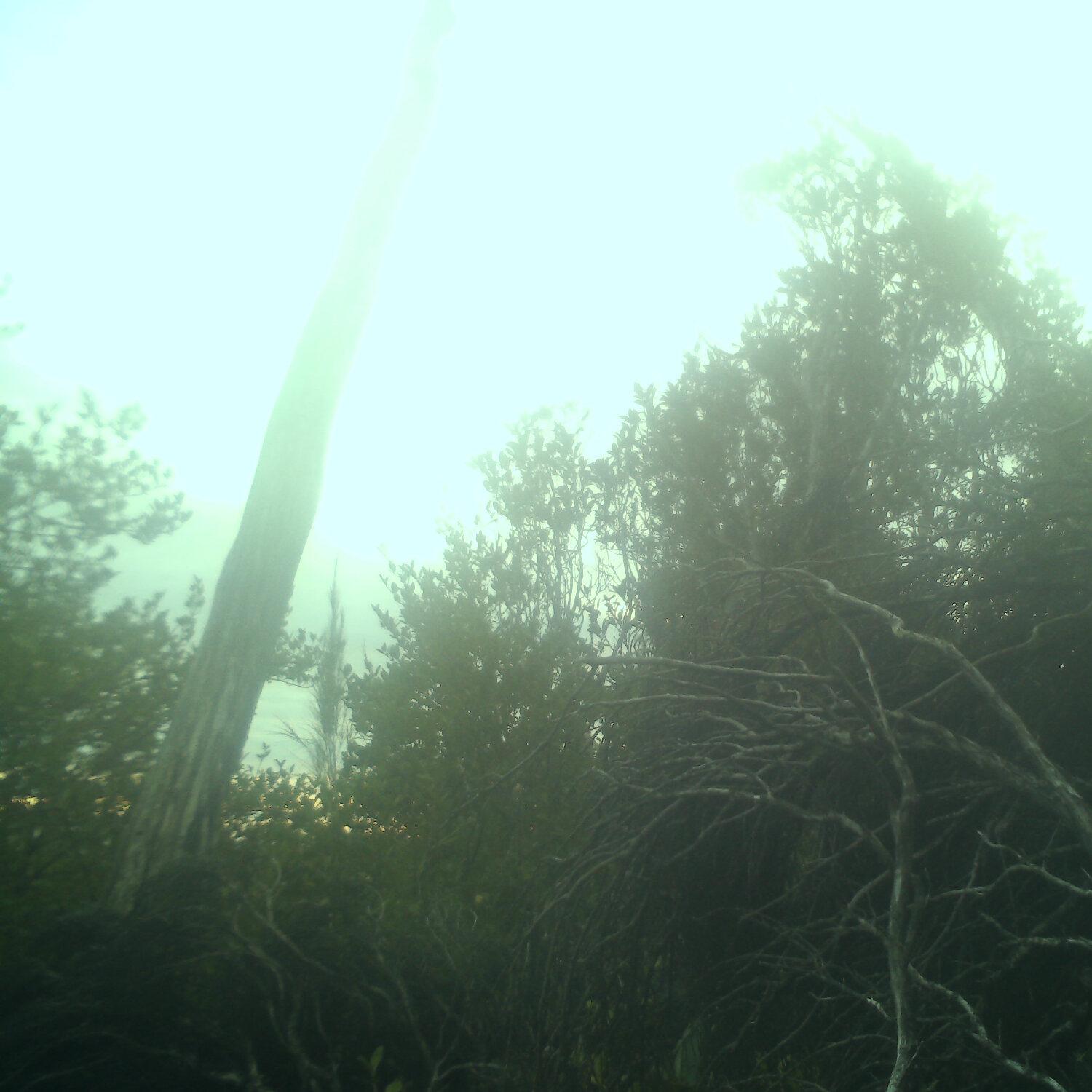 A photo captured from the webcam at the time the audio was recorded