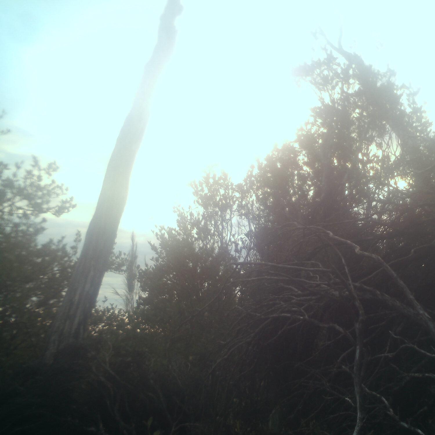 A photo captured from the webcam at the time the audio was recorded
