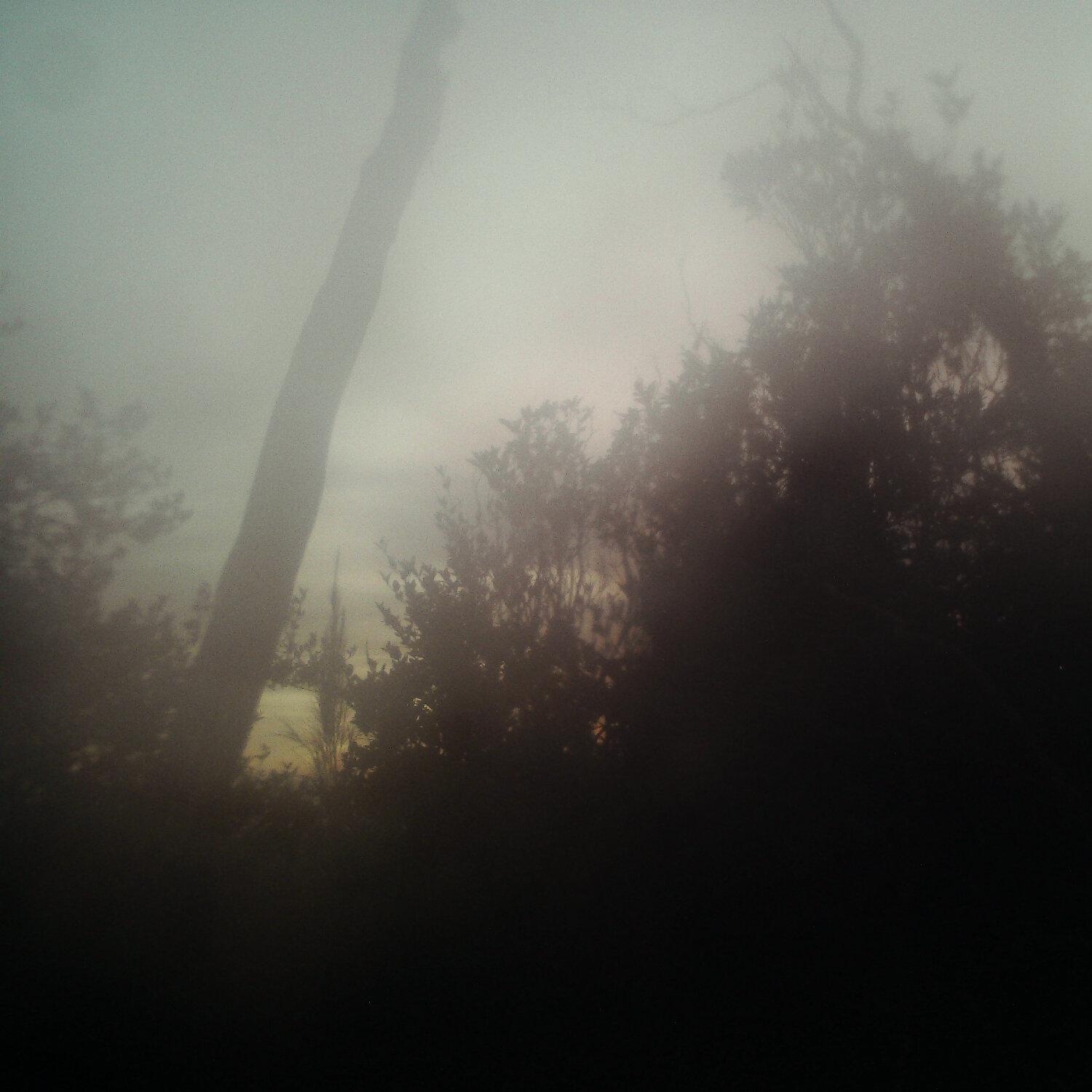 A photo captured from the webcam at the time the audio was recorded