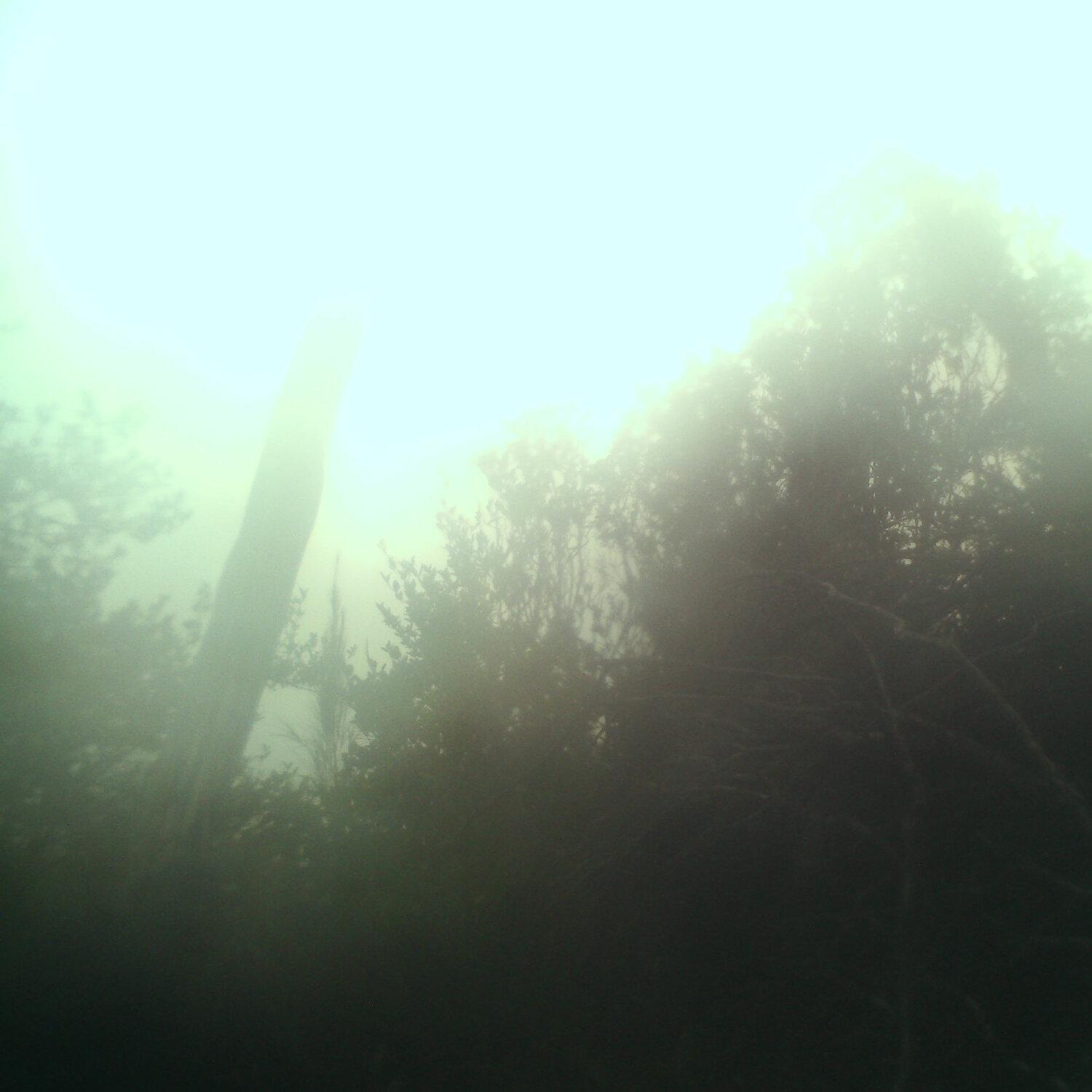 A photo captured from the webcam at the time the audio was recorded