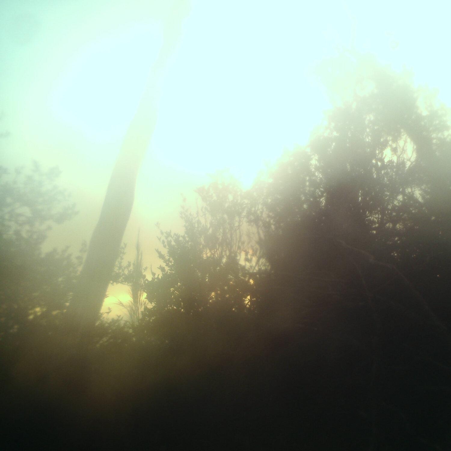 A photo captured from the webcam at the time the audio was recorded