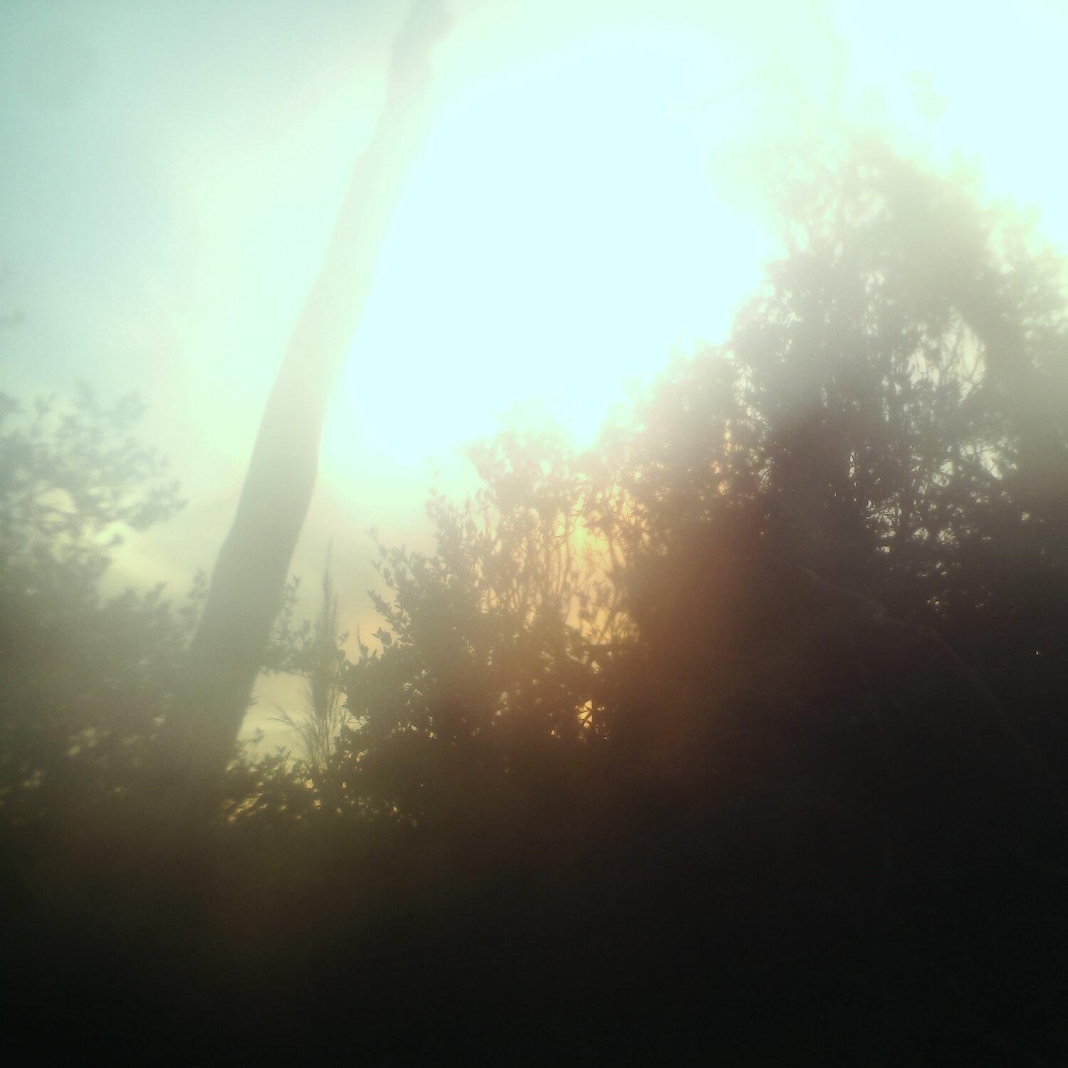A photo captured from the webcam at the time the audio was recorded
