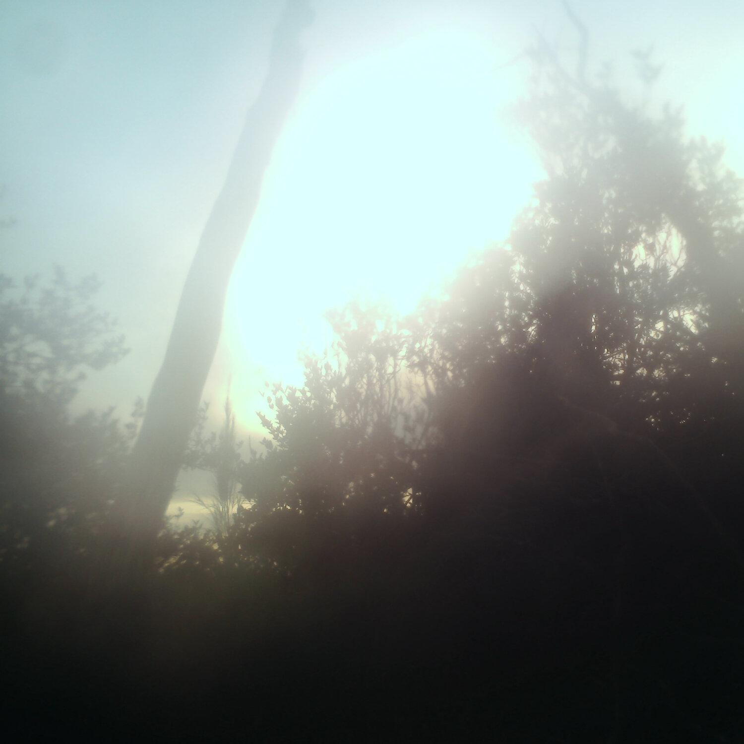 A photo captured from the webcam at the time the audio was recorded