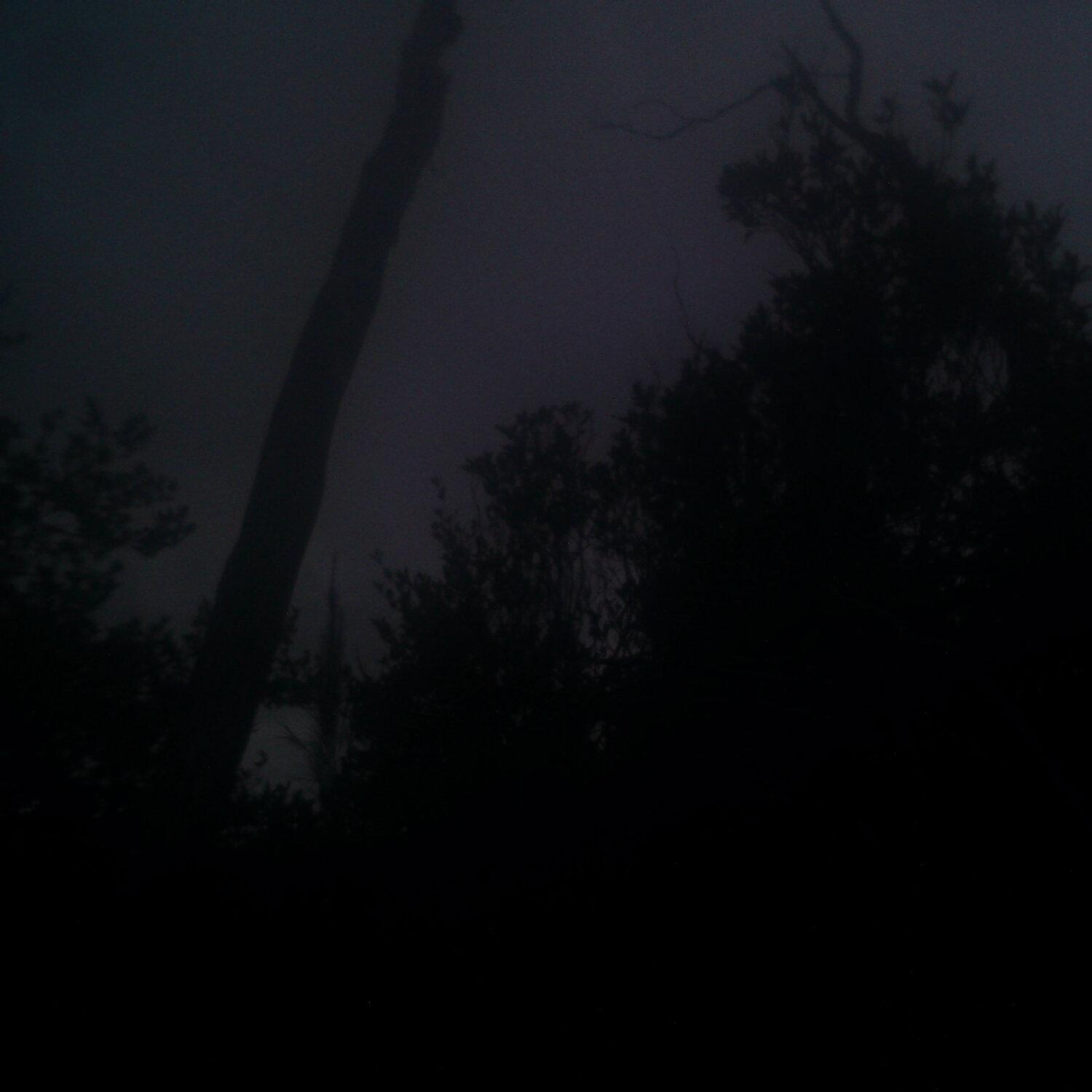 A photo captured from the webcam at the time the audio was recorded
