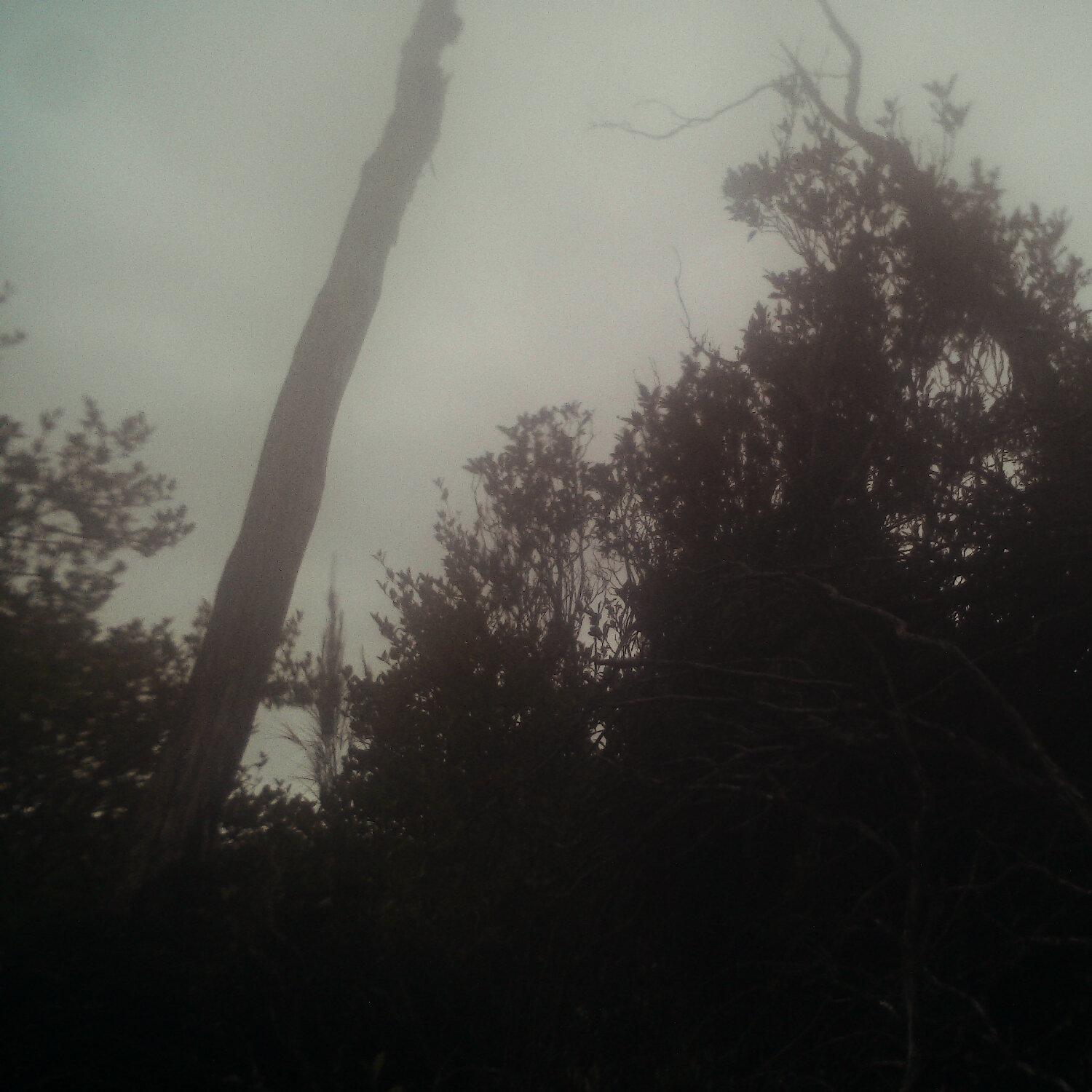 A photo captured from the webcam at the time the audio was recorded