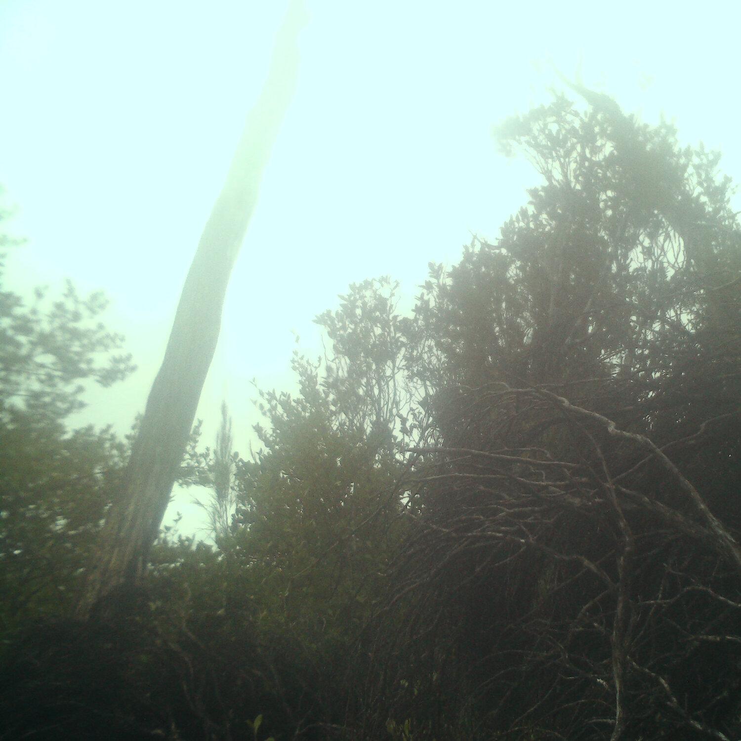 A photo captured from the webcam at the time the audio was recorded