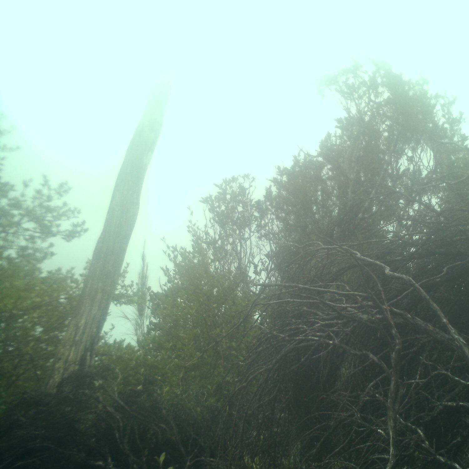 A photo captured from the webcam at the time the audio was recorded