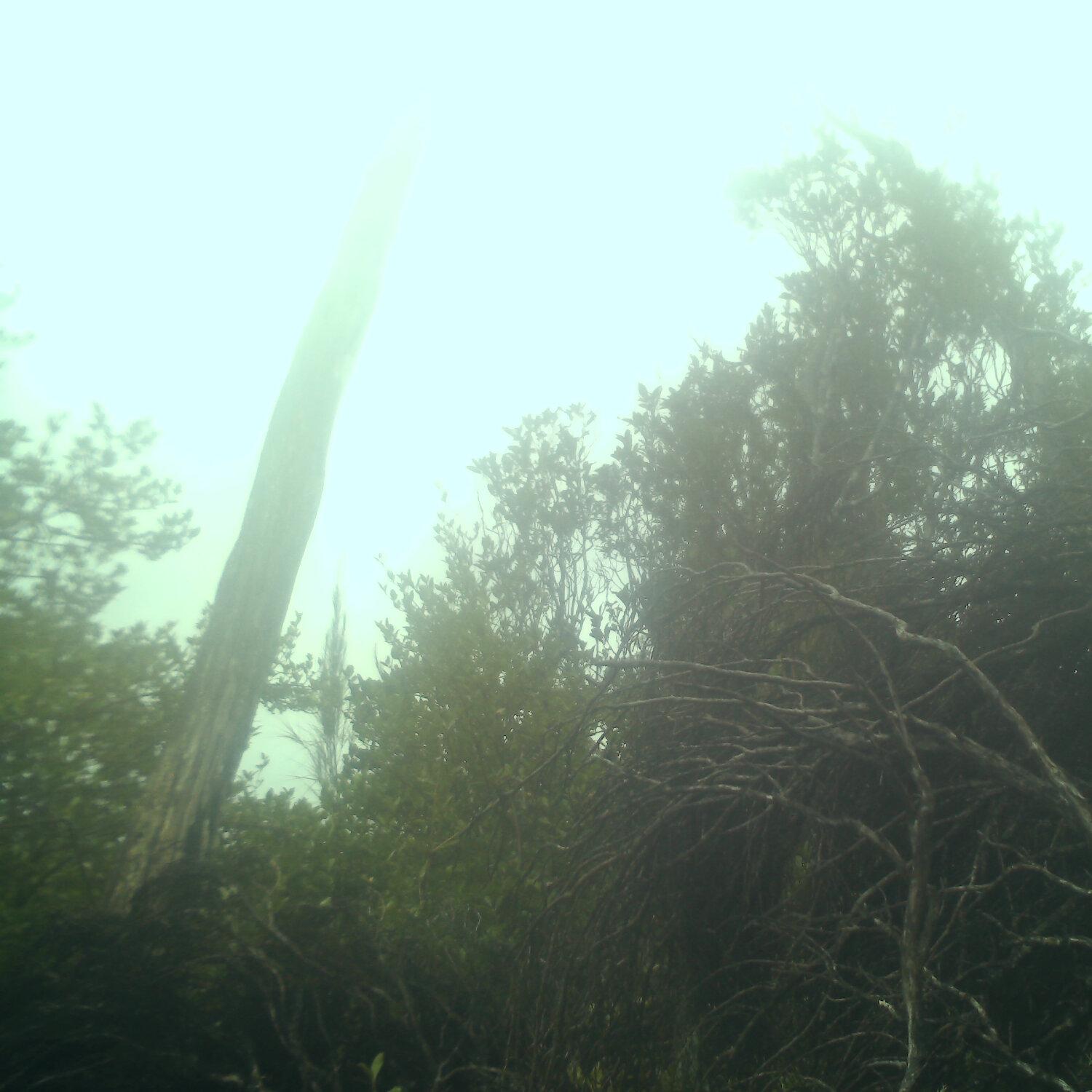 A photo captured from the webcam at the time the audio was recorded
