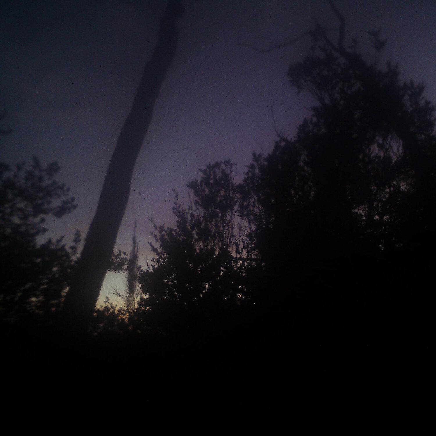 A photo captured from the webcam at the time the audio was recorded