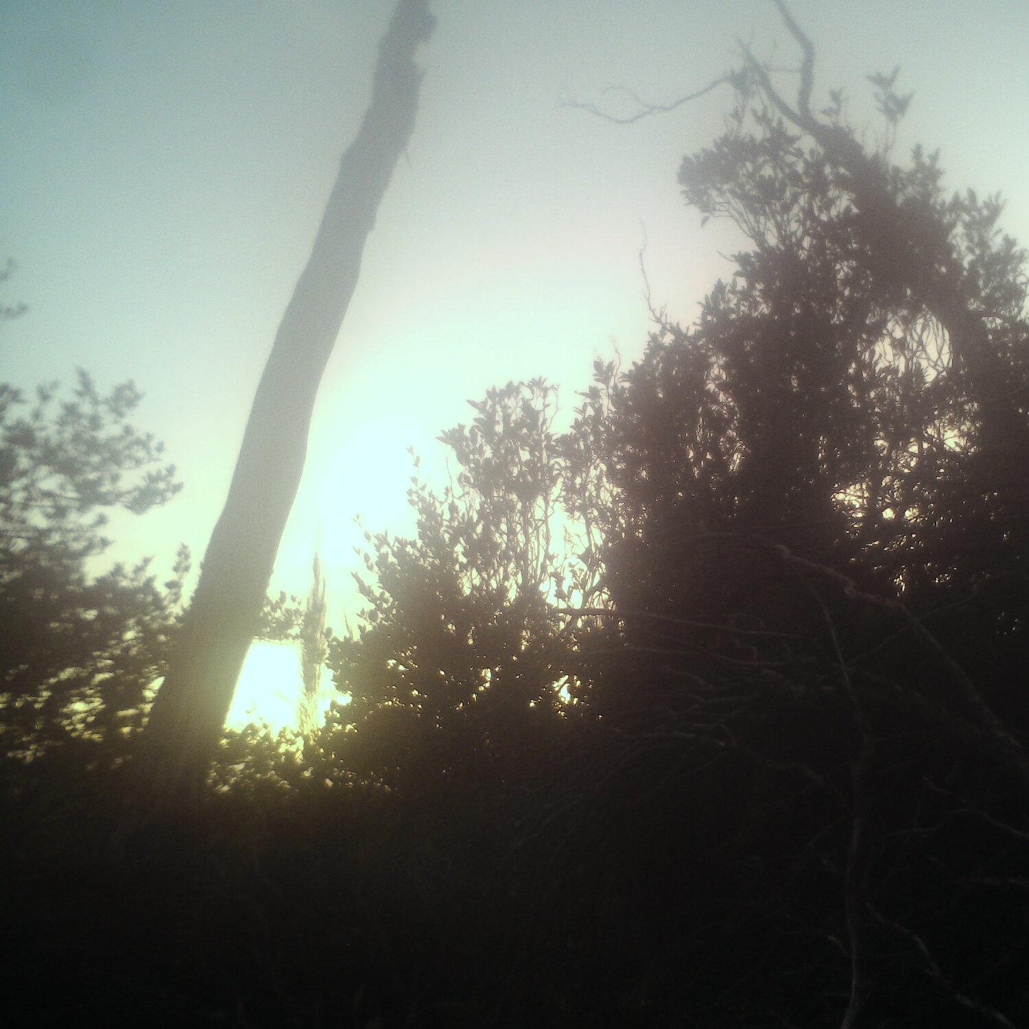 A photo captured from the webcam at the time the audio was recorded