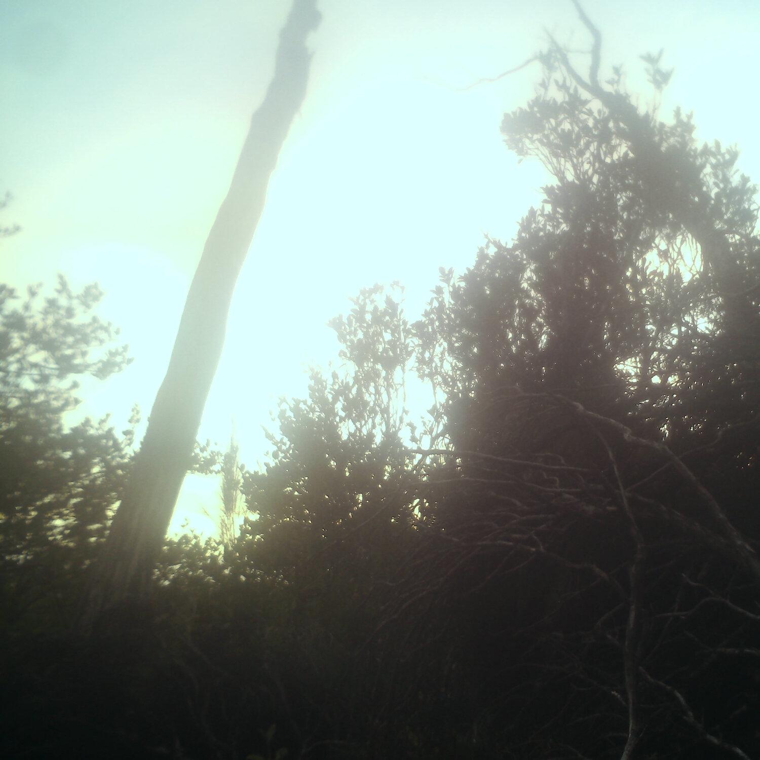 A photo captured from the webcam at the time the audio was recorded