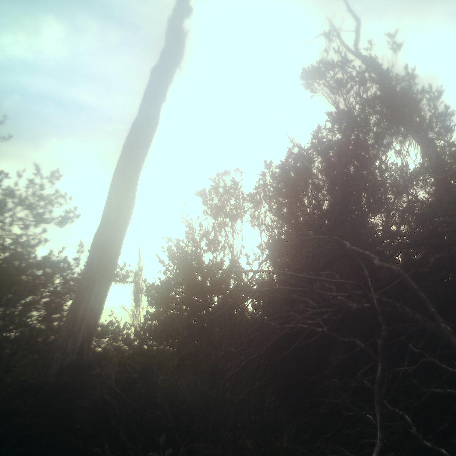 A photo captured from the webcam at the time the audio was recorded