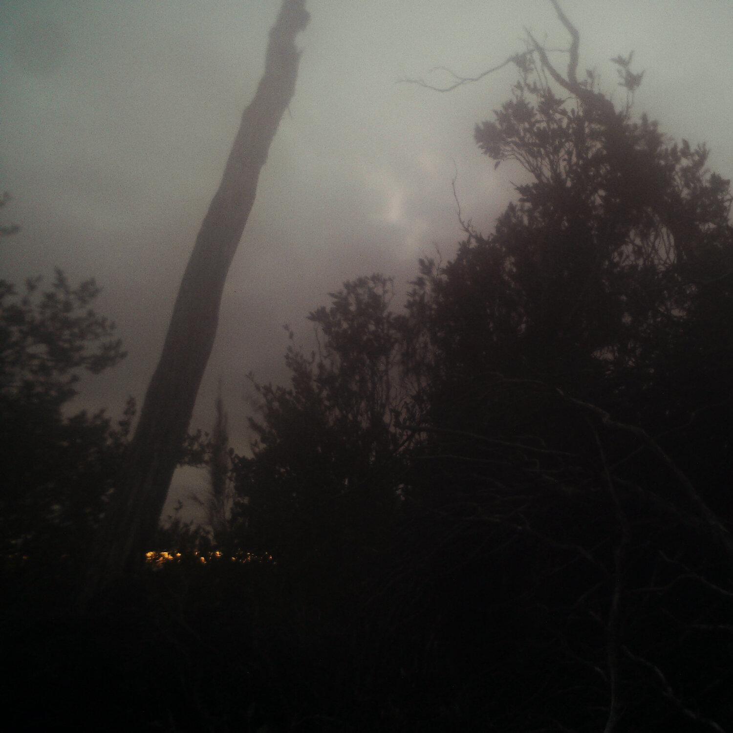 A photo captured from the webcam at the time the audio was recorded