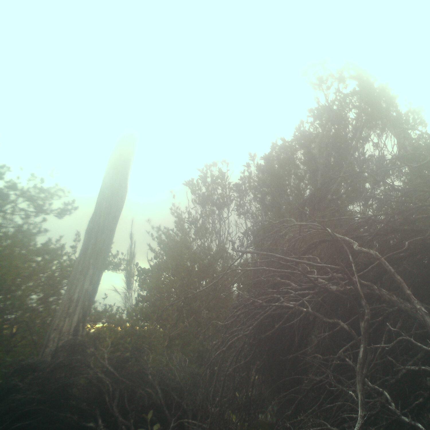 A photo captured from the webcam at the time the audio was recorded