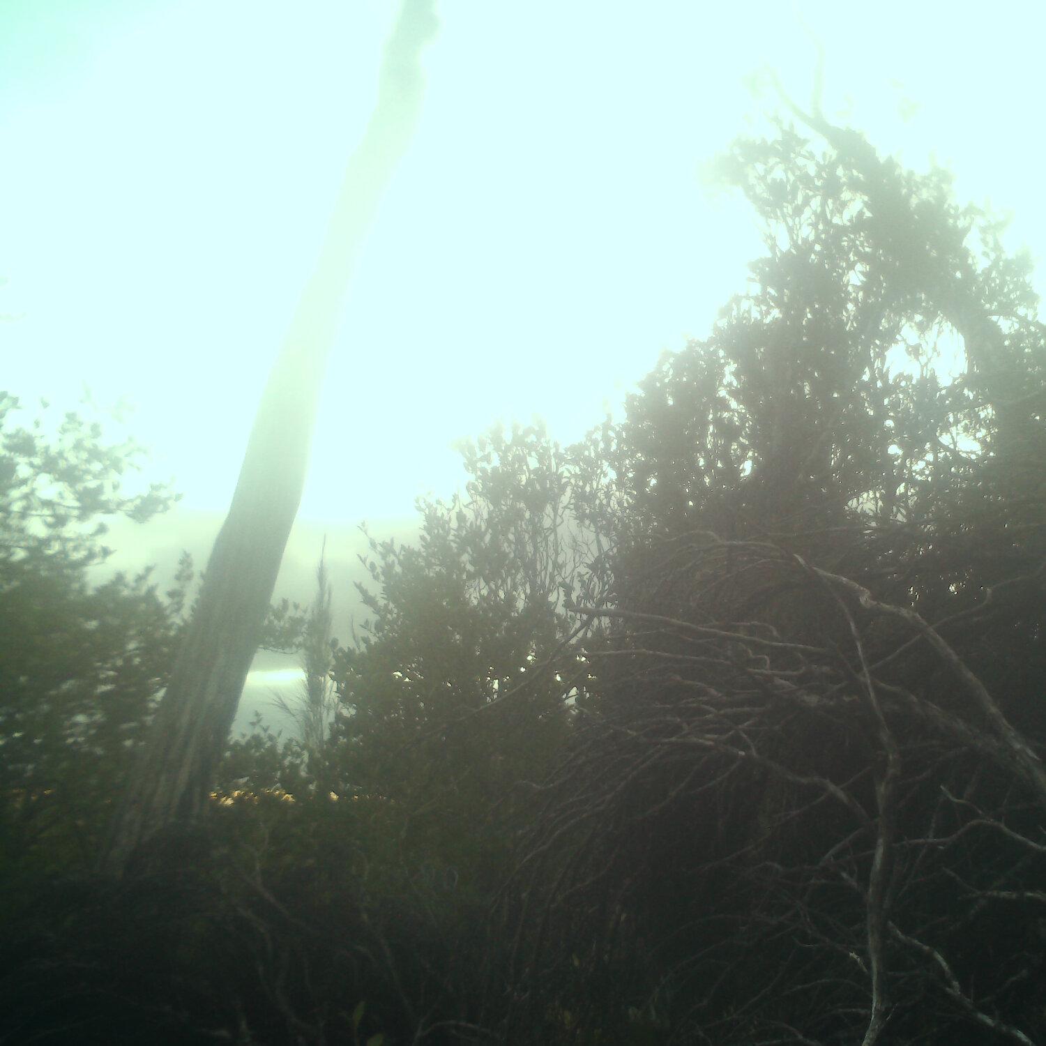 A photo captured from the webcam at the time the audio was recorded
