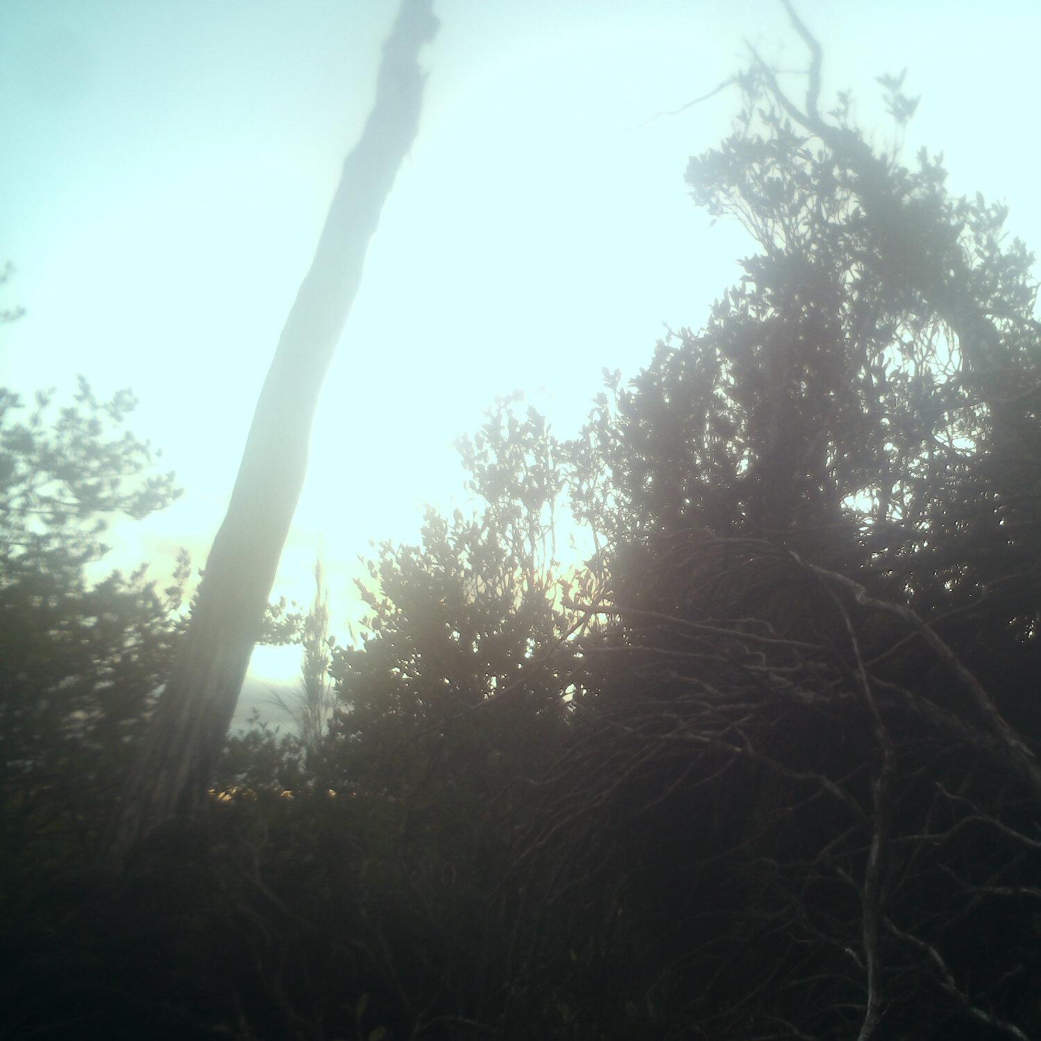 A photo captured from the webcam at the time the audio was recorded