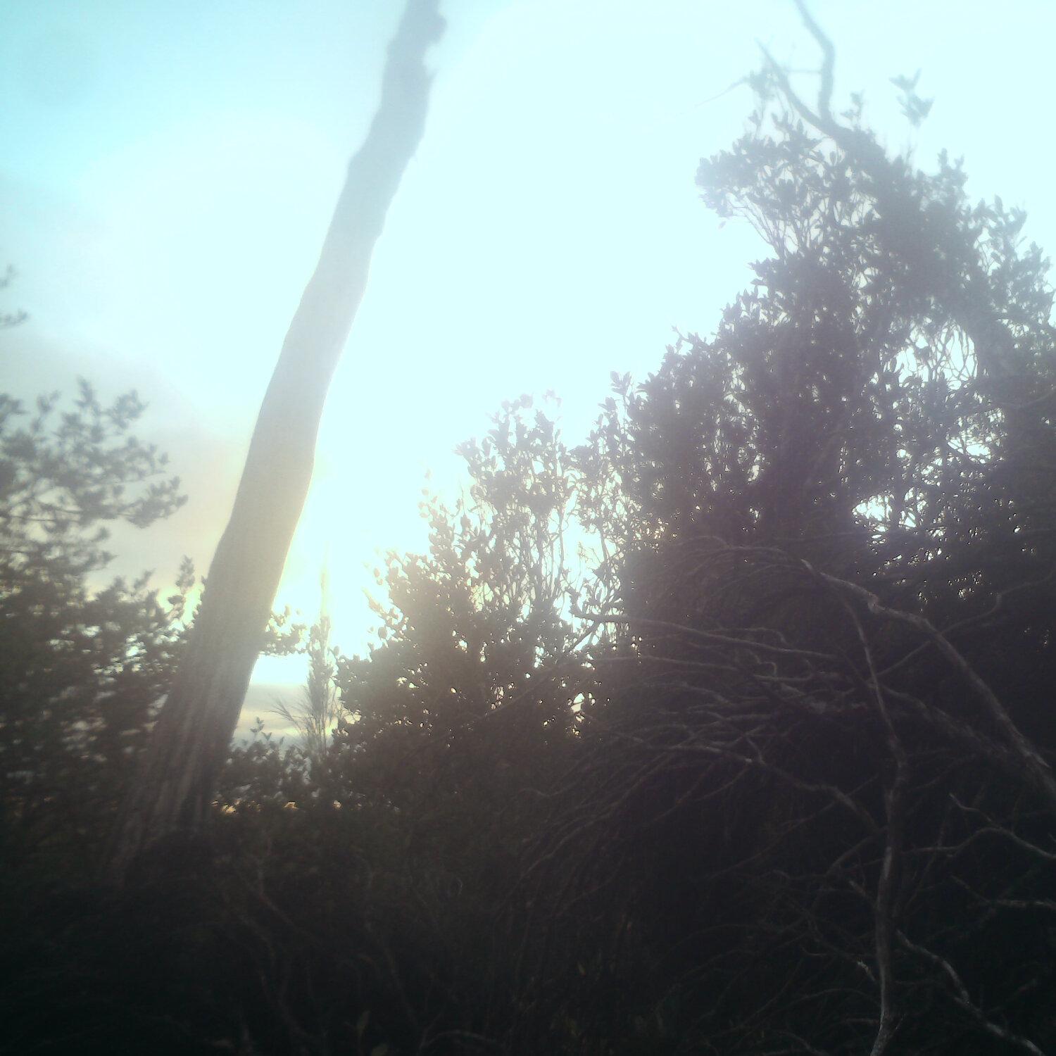 A photo captured from the webcam at the time the audio was recorded