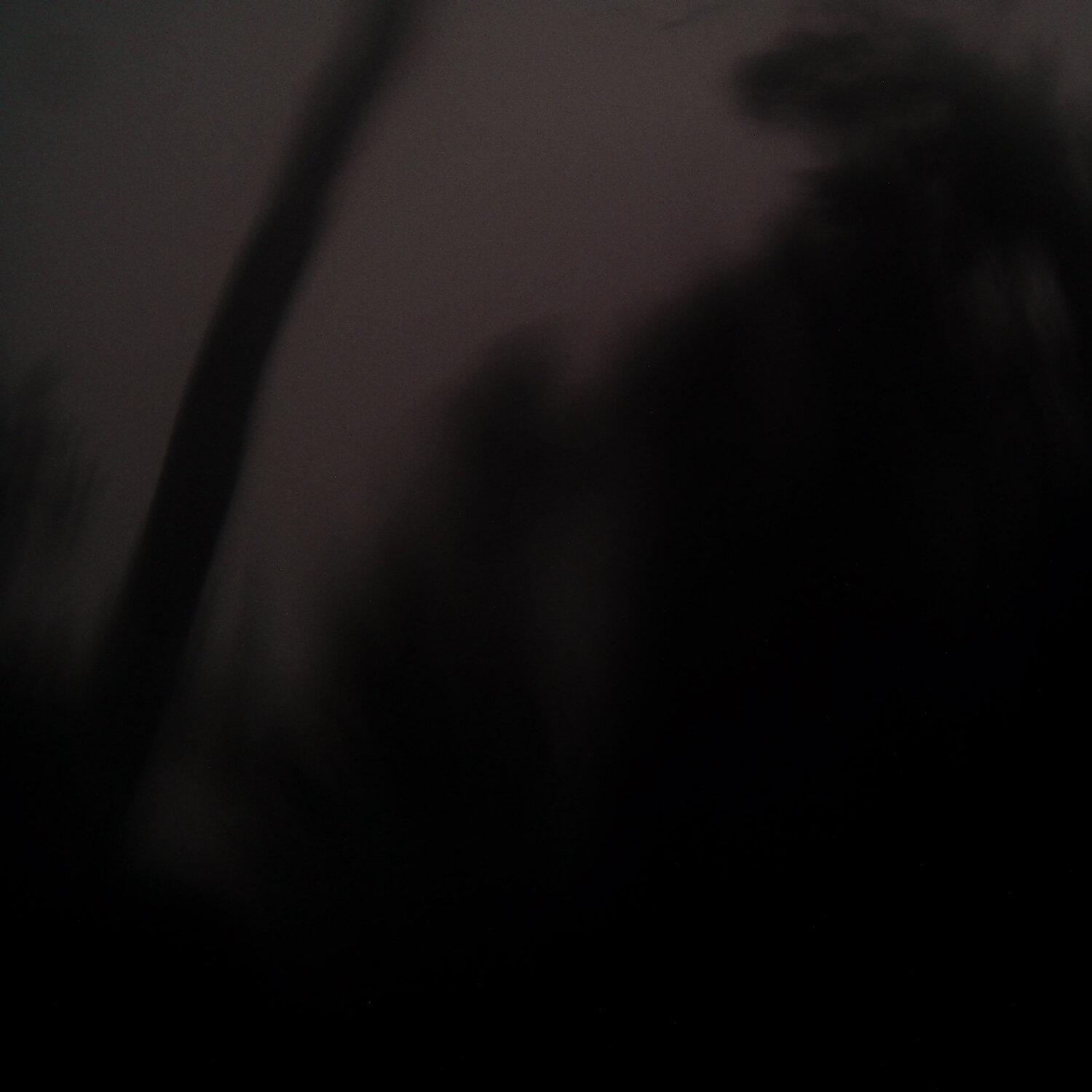 A photo captured from the webcam at the time the audio was recorded