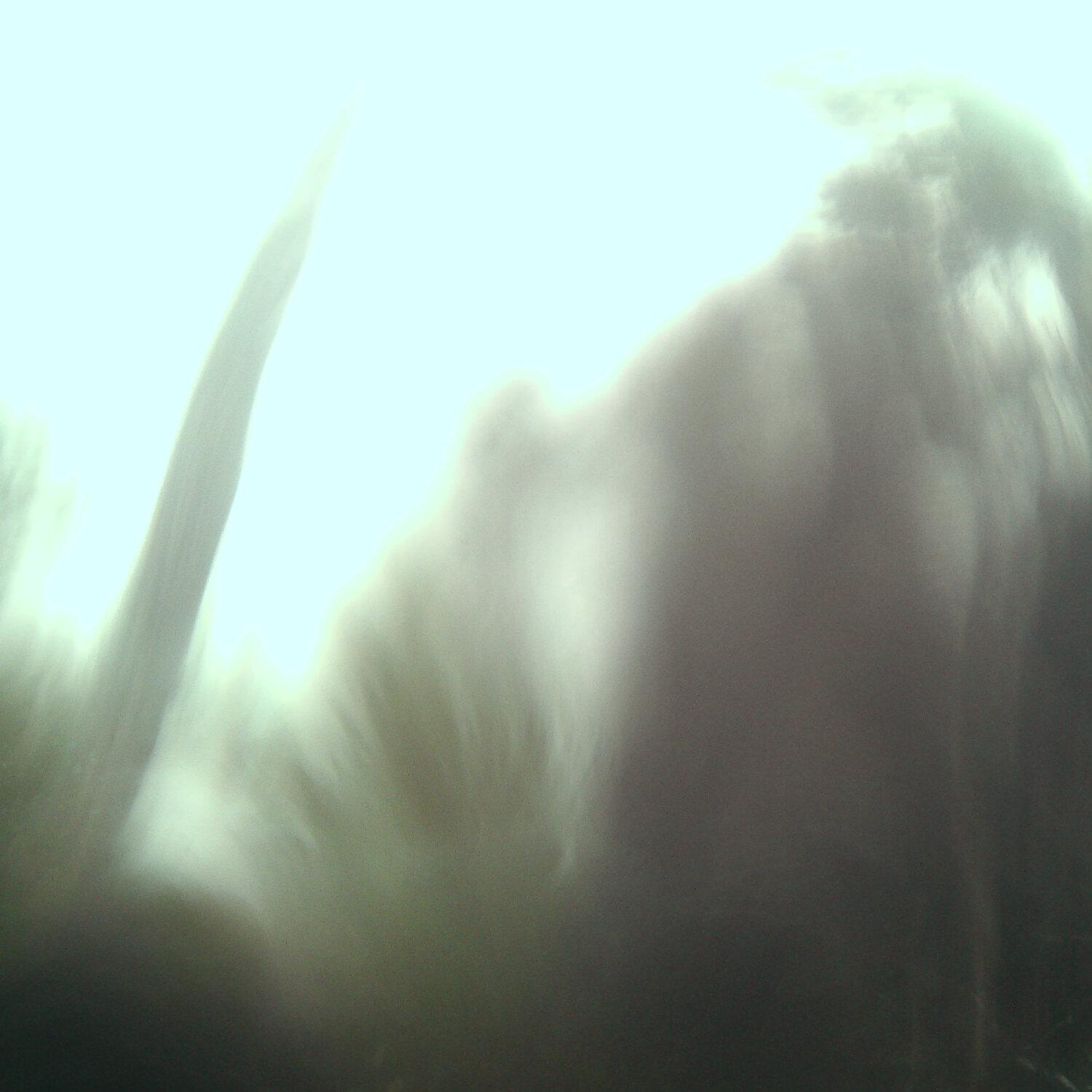 A photo captured from the webcam at the time the audio was recorded