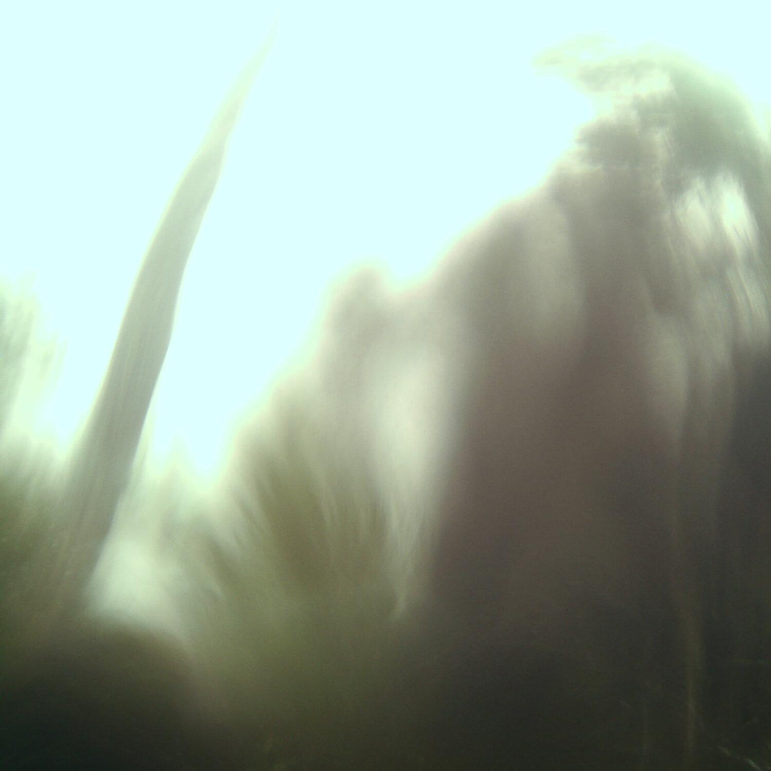 A photo captured from the webcam at the time the audio was recorded