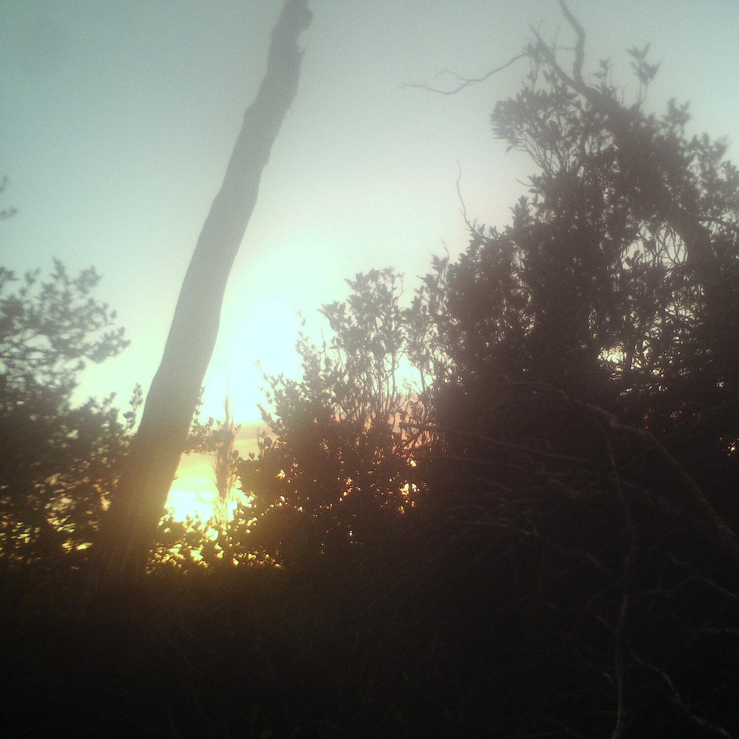 A photo captured from the webcam at the time the audio was recorded