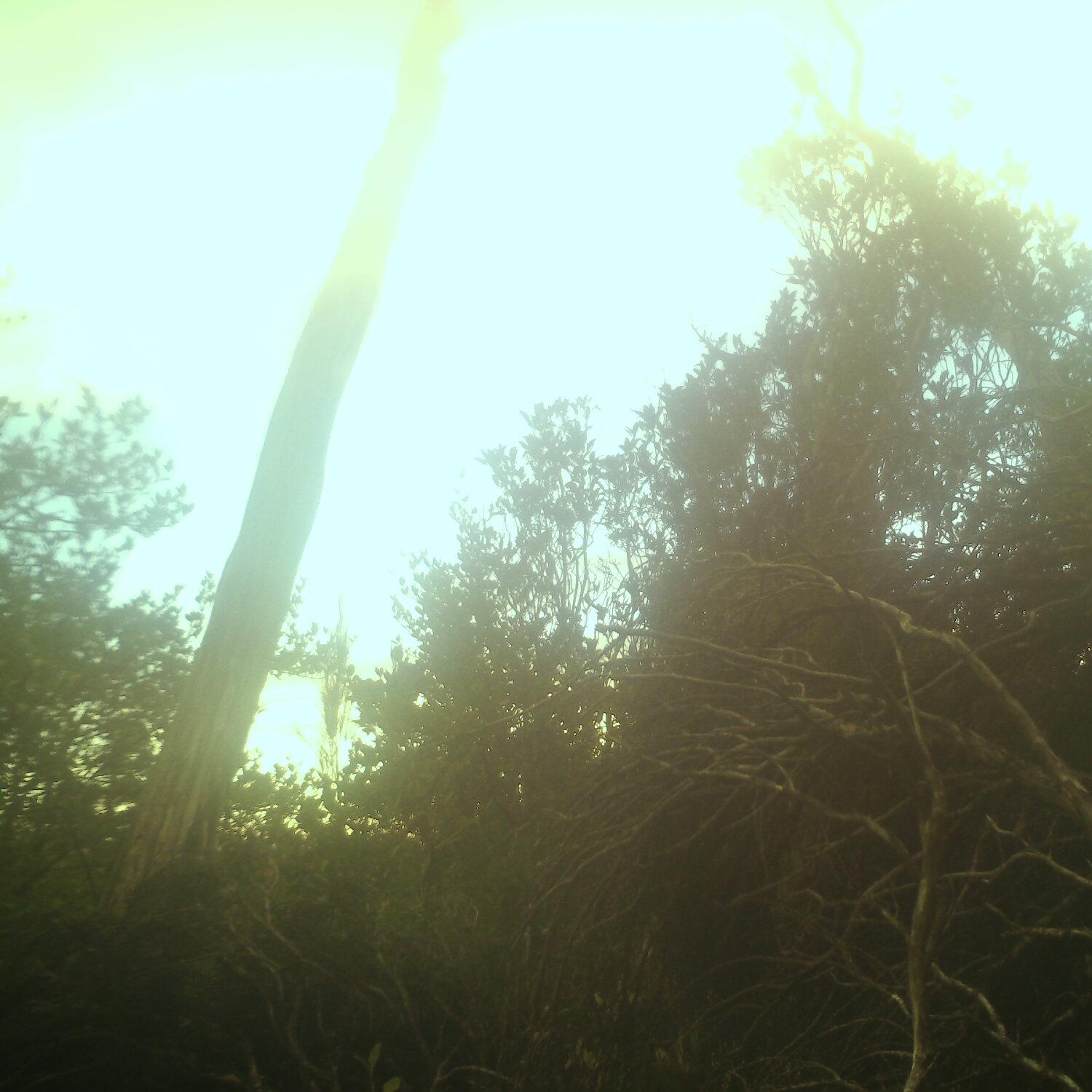 A photo captured from the webcam at the time the audio was recorded