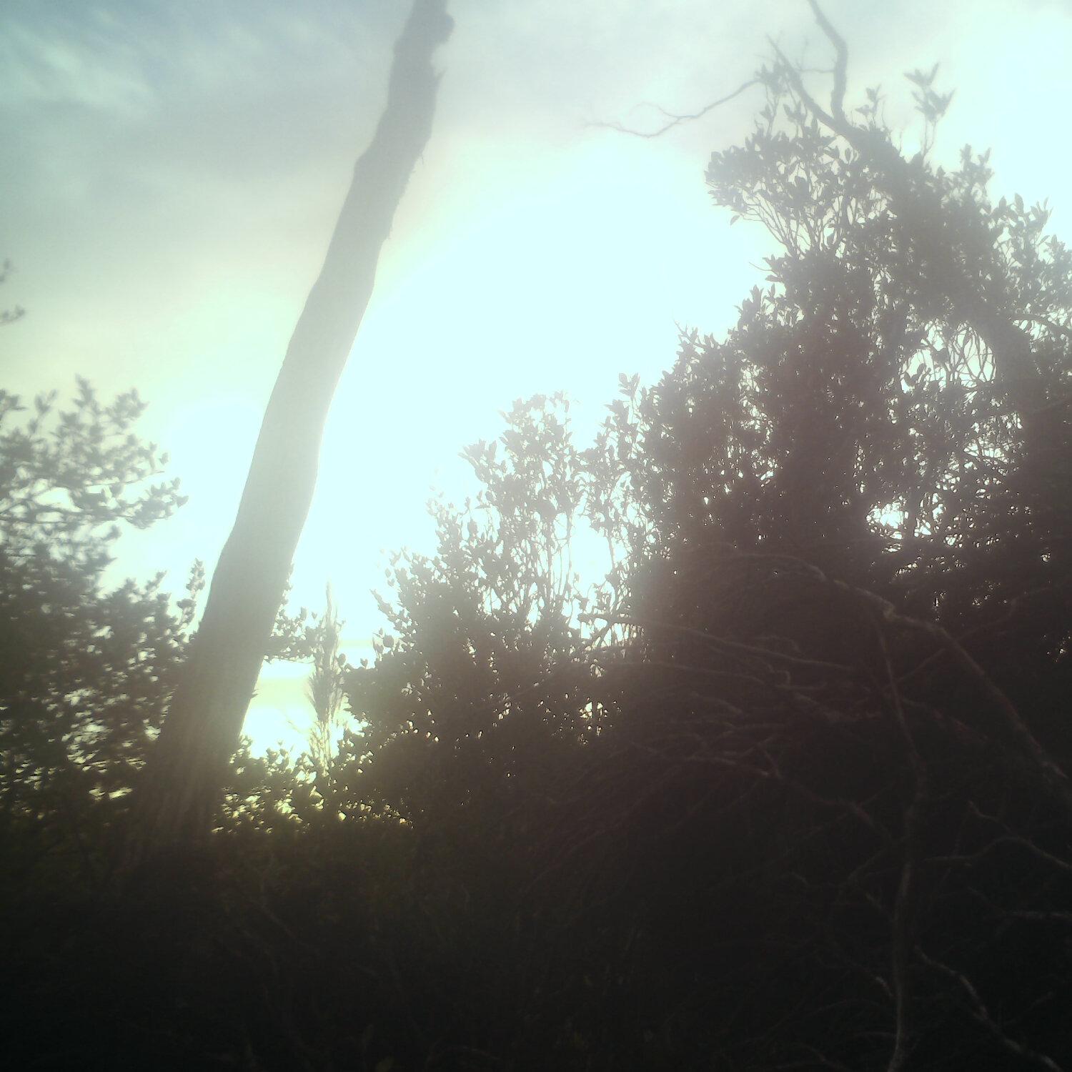 A photo captured from the webcam at the time the audio was recorded