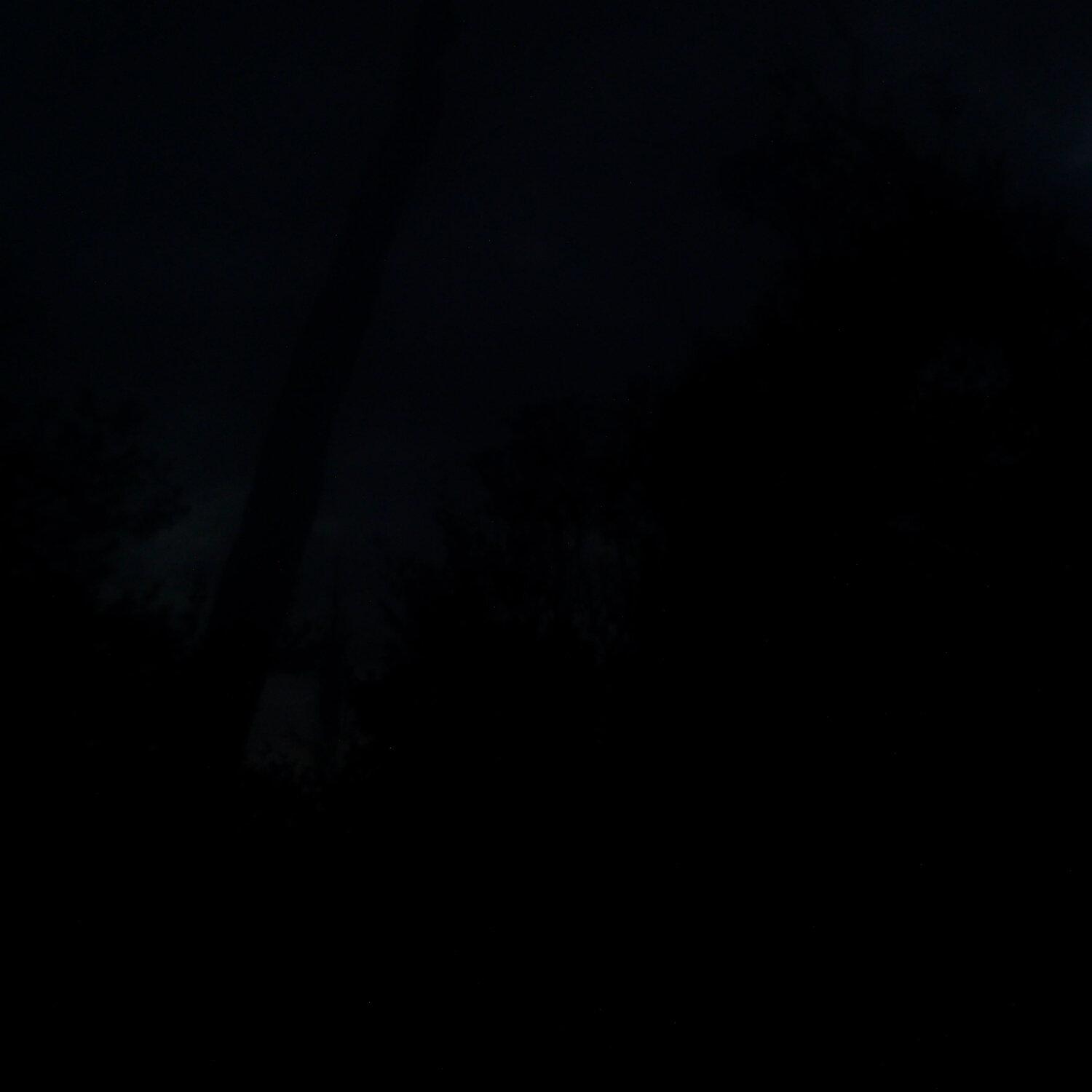 A photo captured from the webcam at the time the audio was recorded